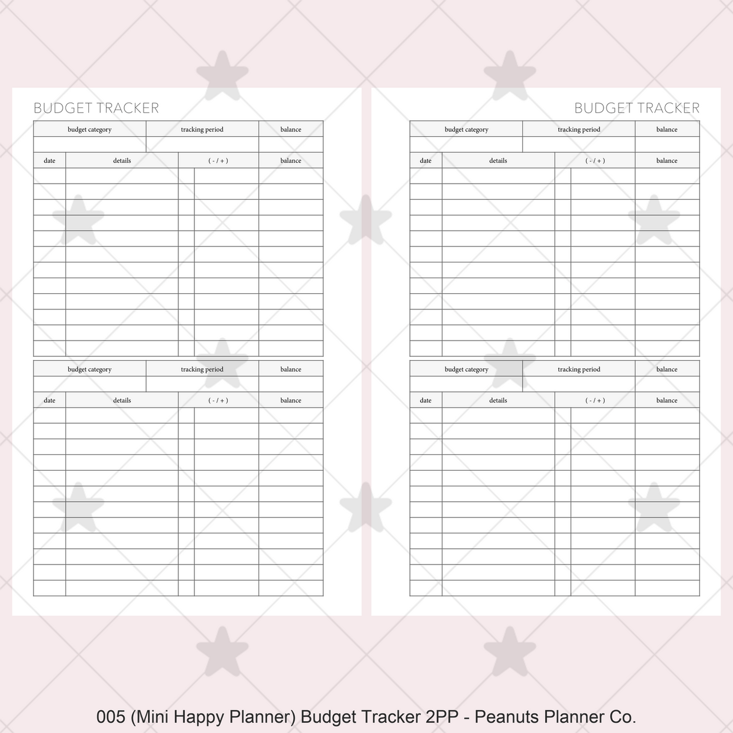 005: Budget Tracker 2PP