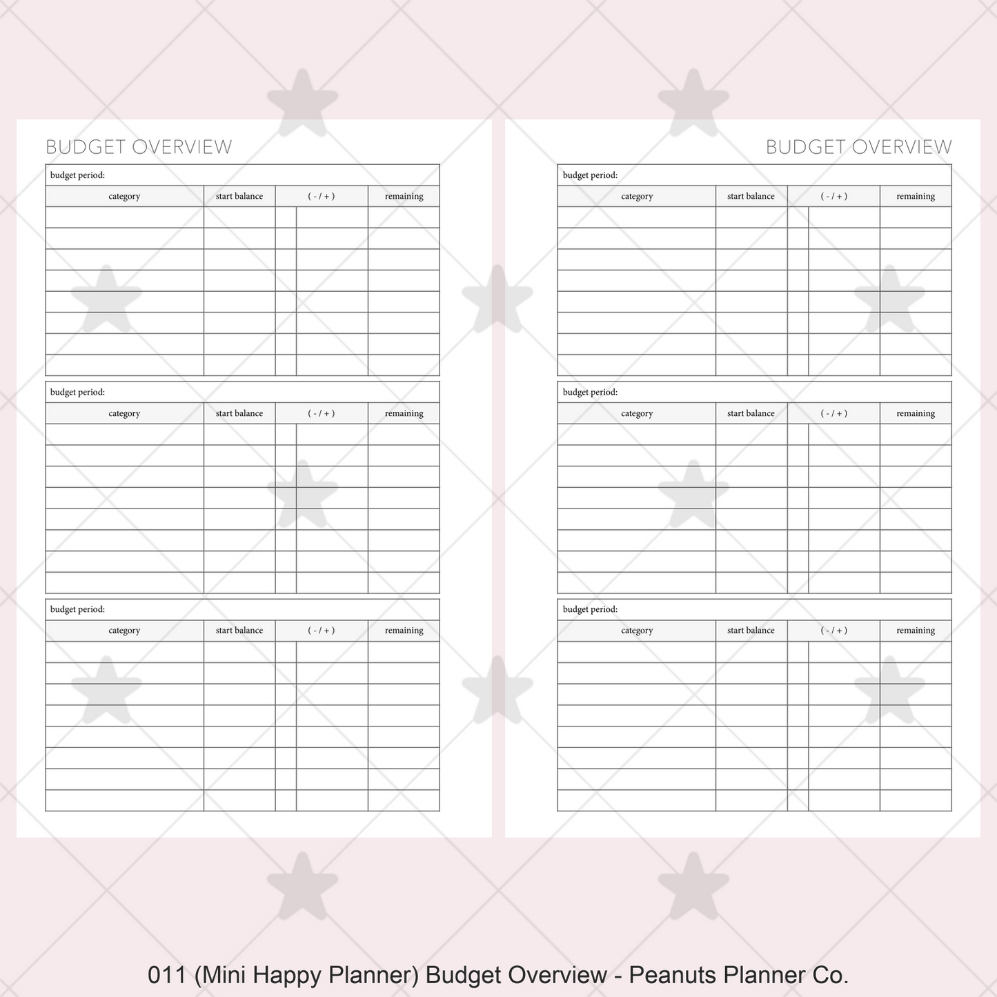 011: Budget Overview