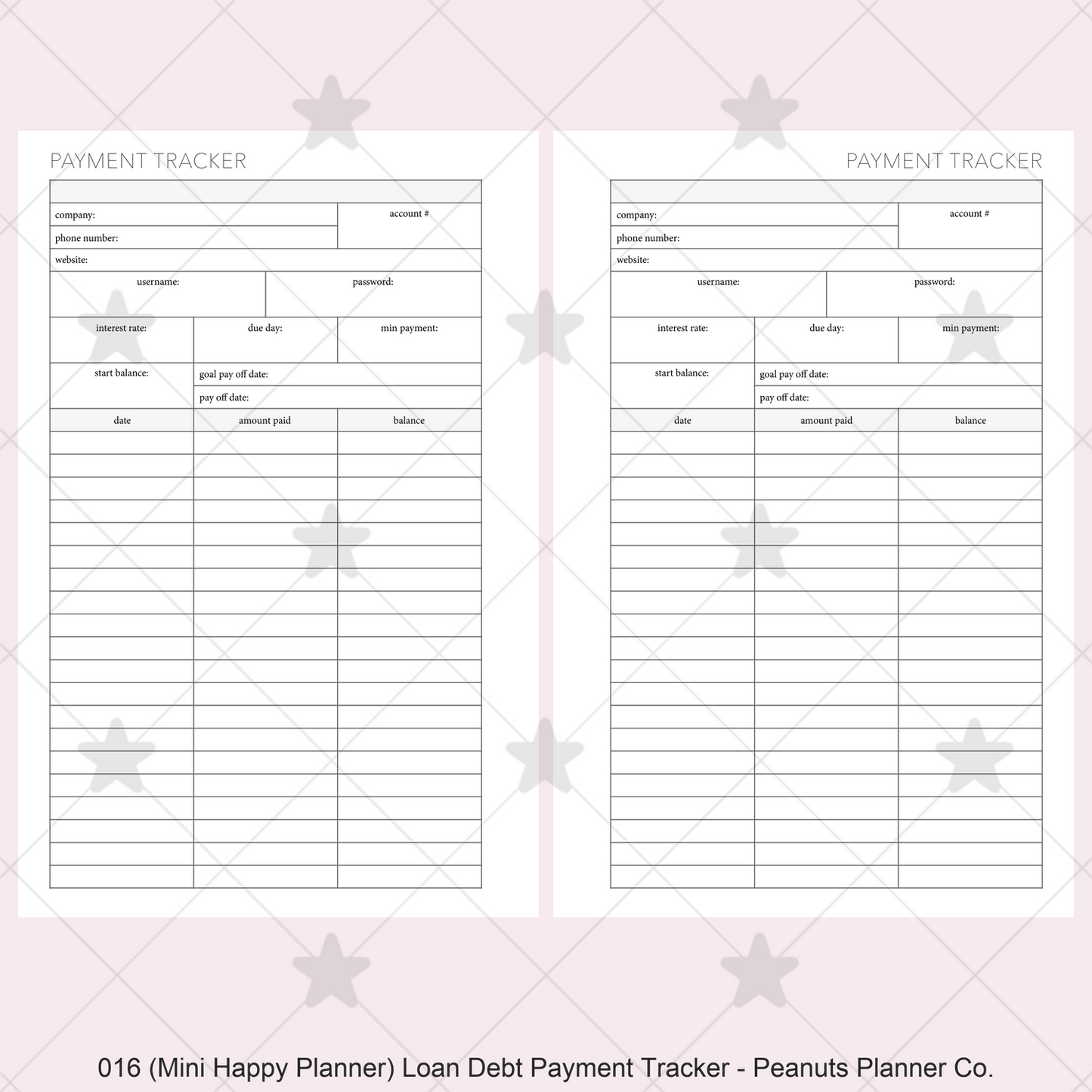 016: Loan / Debt Payment Tracker