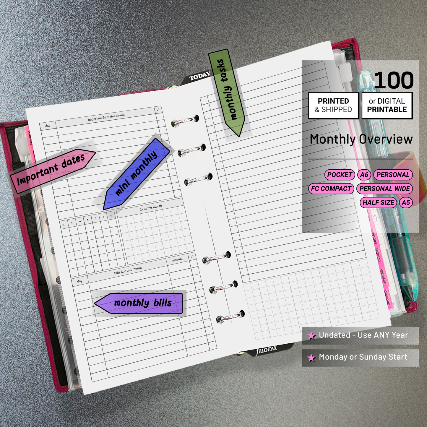 100: Monthly Overview w/ Focus & Bills Mo2P