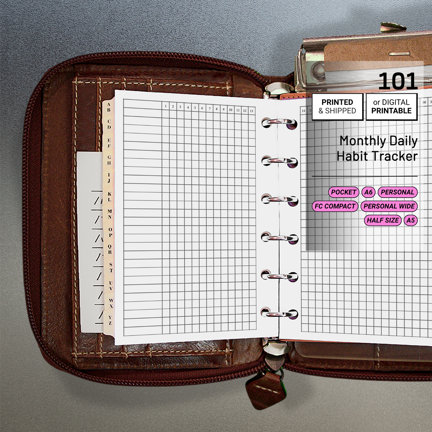 101: Monthly Daily Habit Tracker Mo2P