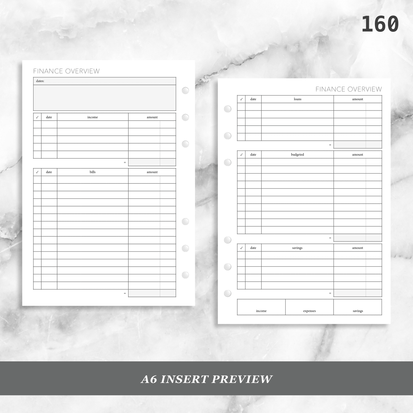 160: Finance Overview w/ Income Budget Loan Expenses Bills Savings Monthly