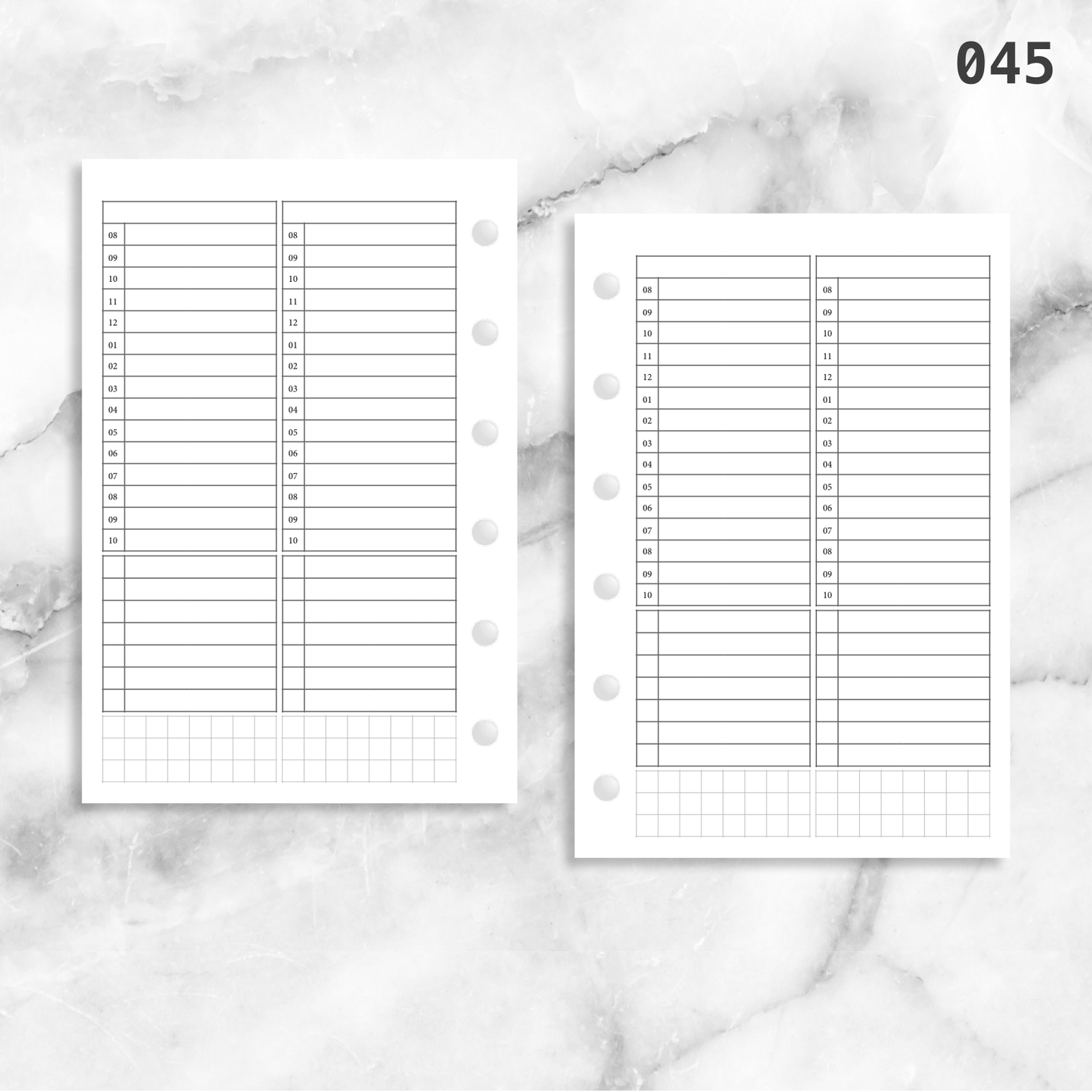 045: Timed Daily Schedule & Tasks 2Do1P