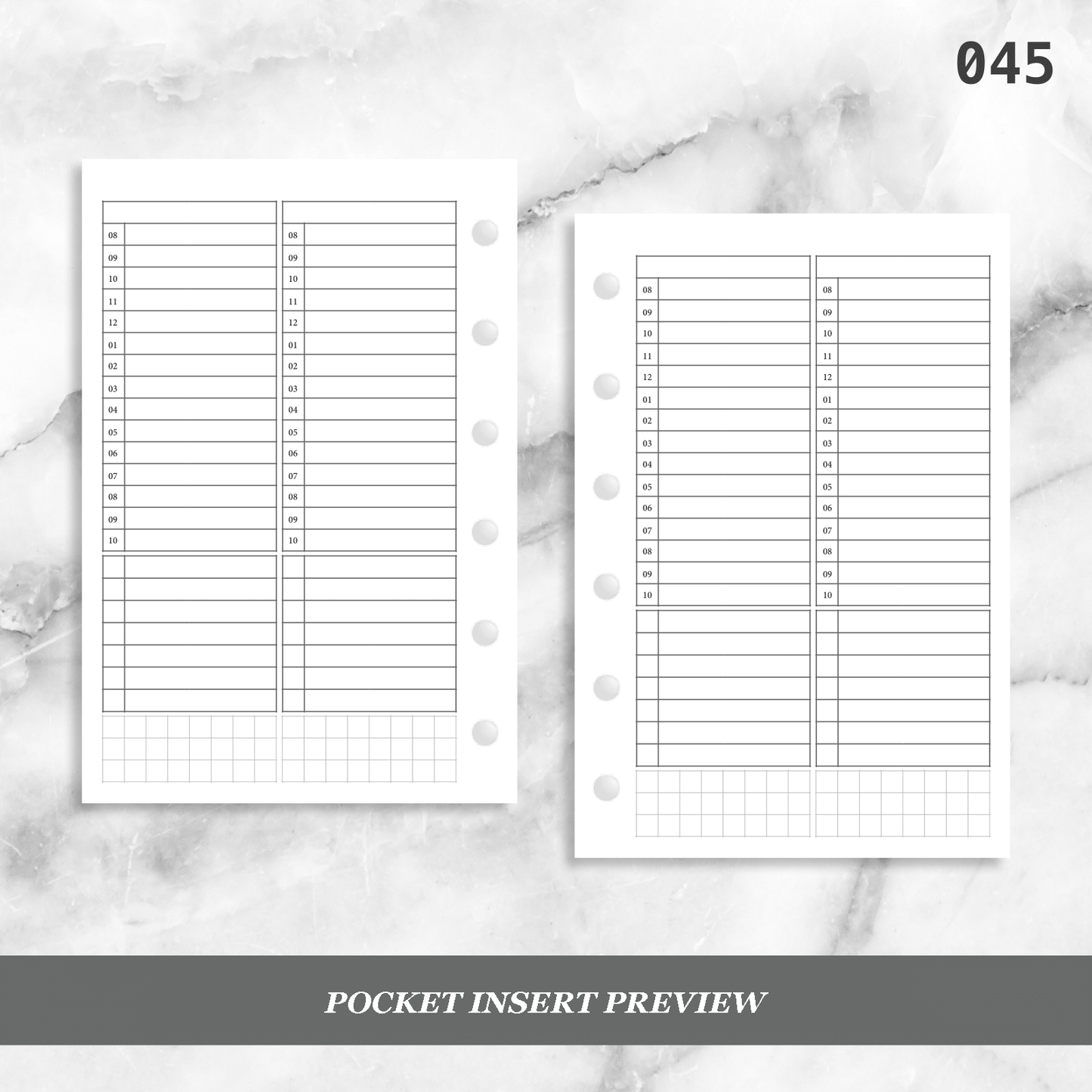 045: Timed Daily Schedule & Tasks 2Do1P
