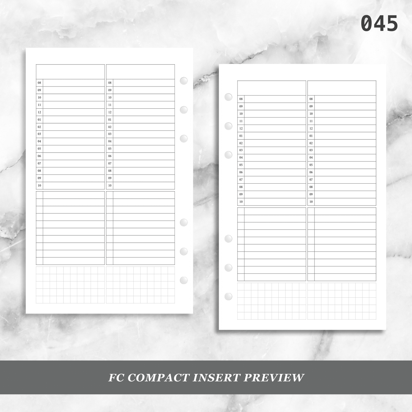 045: Timed Daily Schedule & Tasks 2Do1P