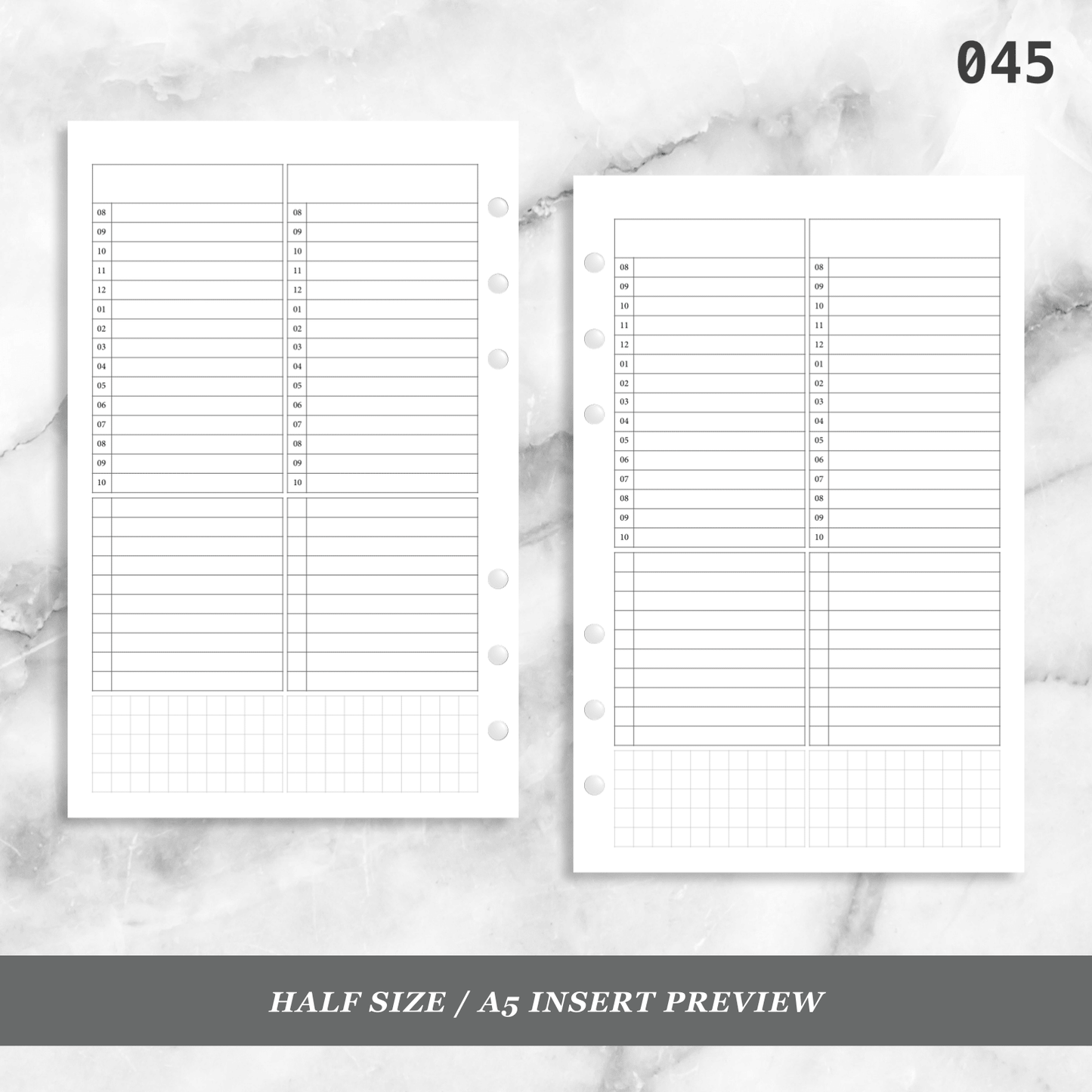 045: Timed Daily Schedule & Tasks 2Do1P