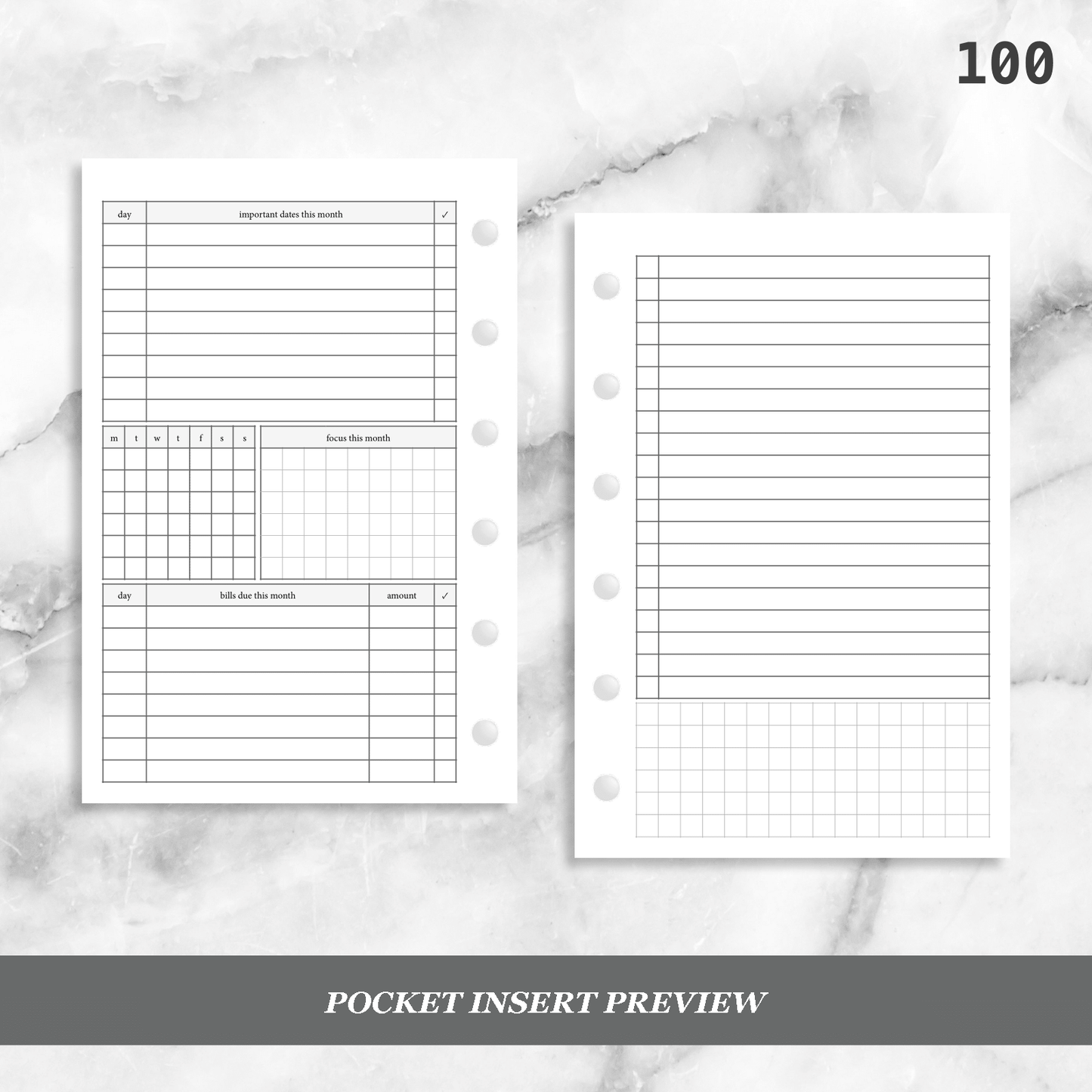 100: Monthly Overview w/ Focus & Bills Mo2P