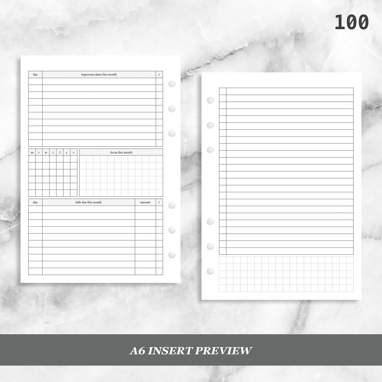 100: Monthly Overview w/ Focus & Bills Mo2P