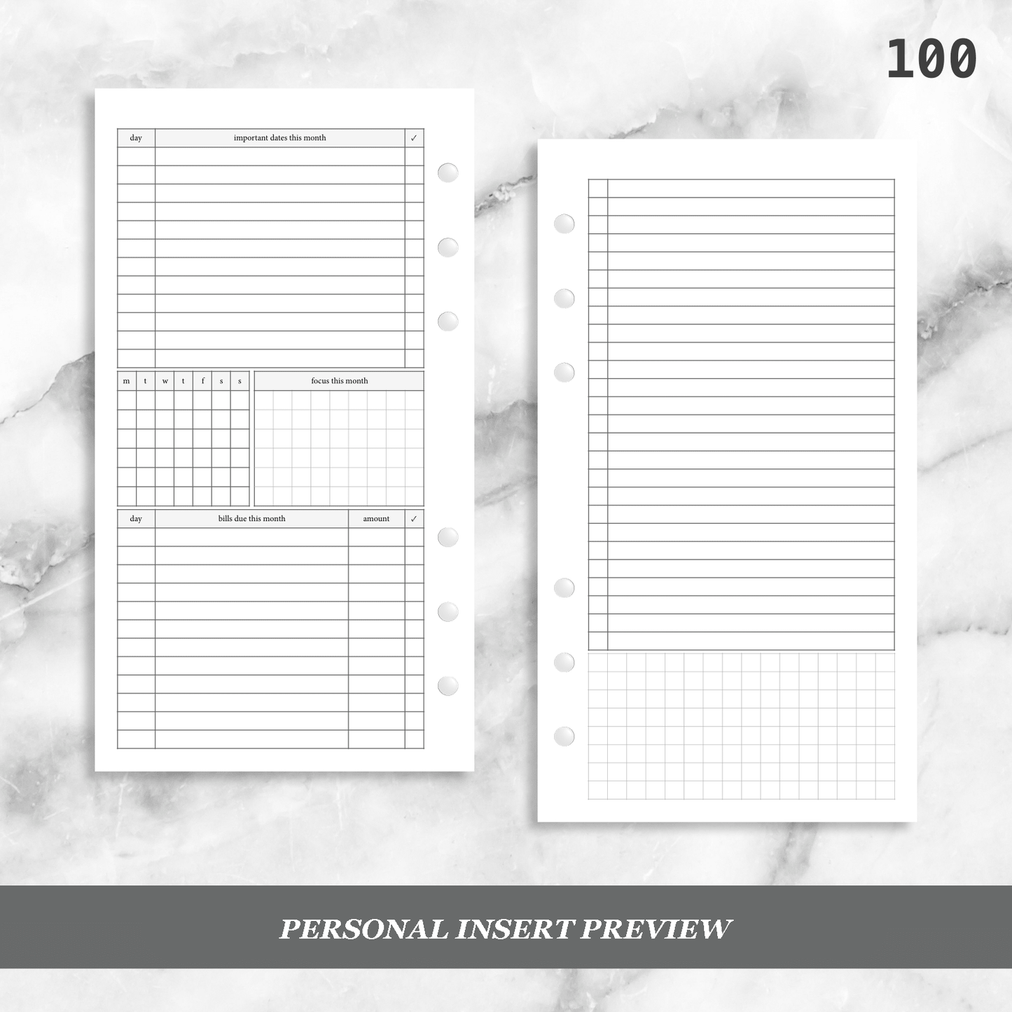 100: Monthly Overview w/ Focus & Bills Mo2P