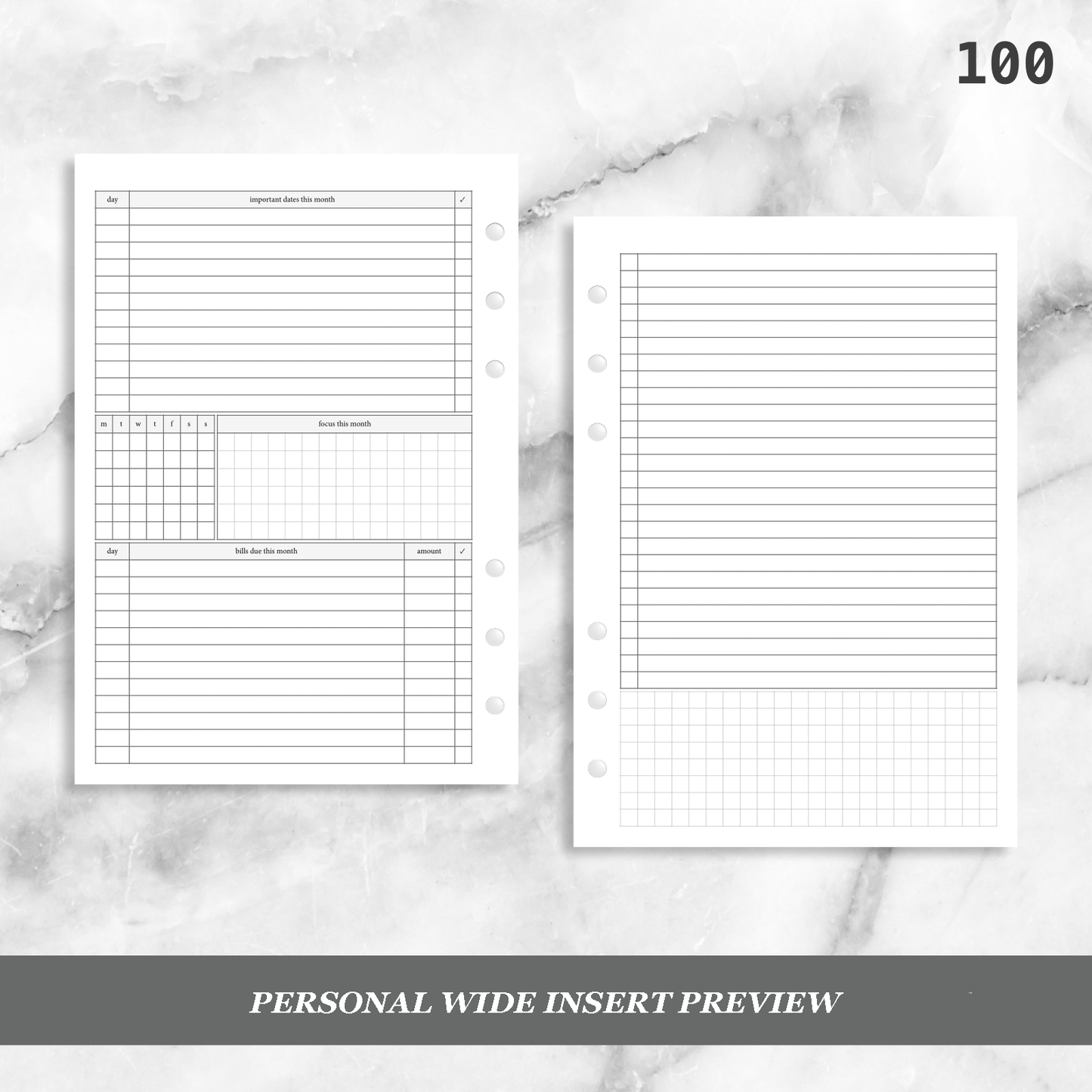 100: Monthly Overview w/ Focus & Bills Mo2P