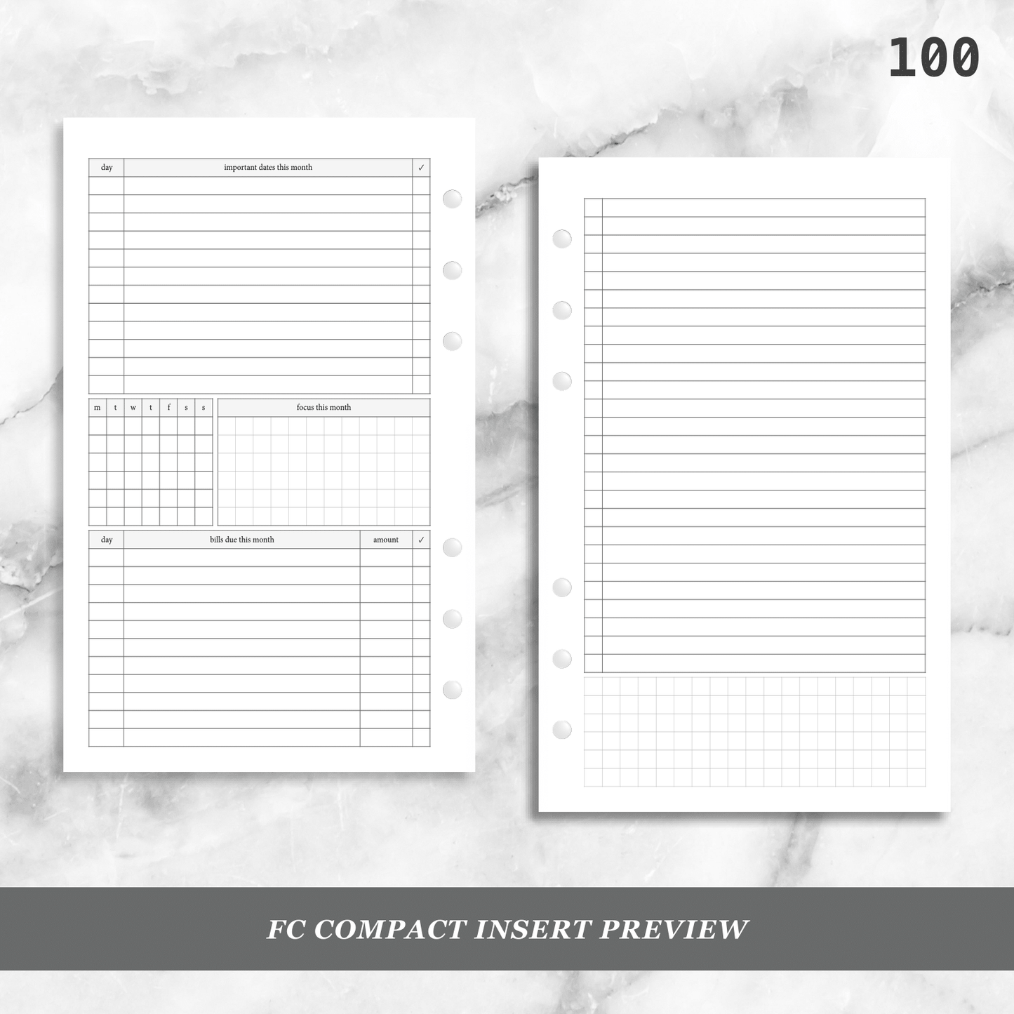100: Monthly Overview w/ Focus & Bills Mo2P