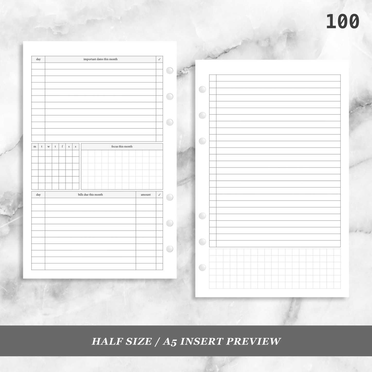 100: Monthly Overview w/ Focus & Bills Mo2P