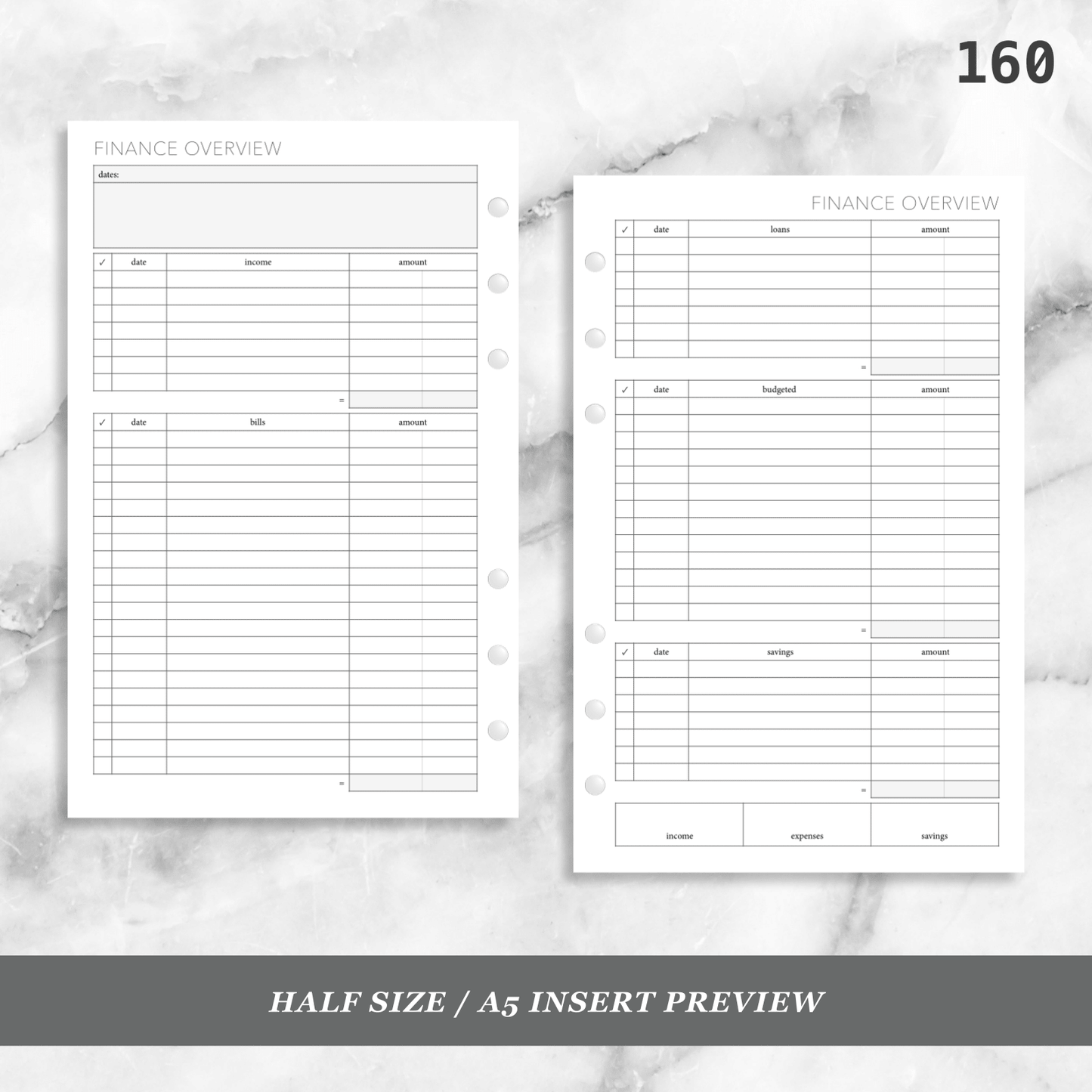 160: Finance Overview w/ Income Budget Loan Expenses Bills Savings Monthly