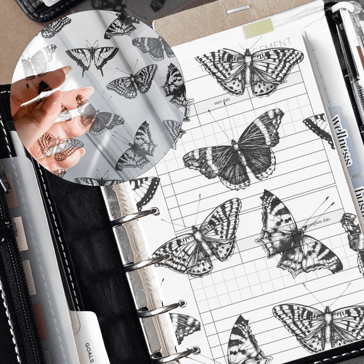 ⚬ Butterflies Acetate