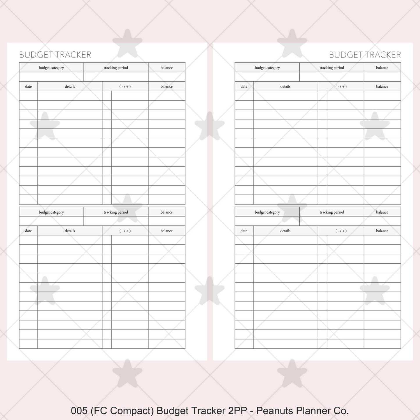 005: Budget Tracker 2PP