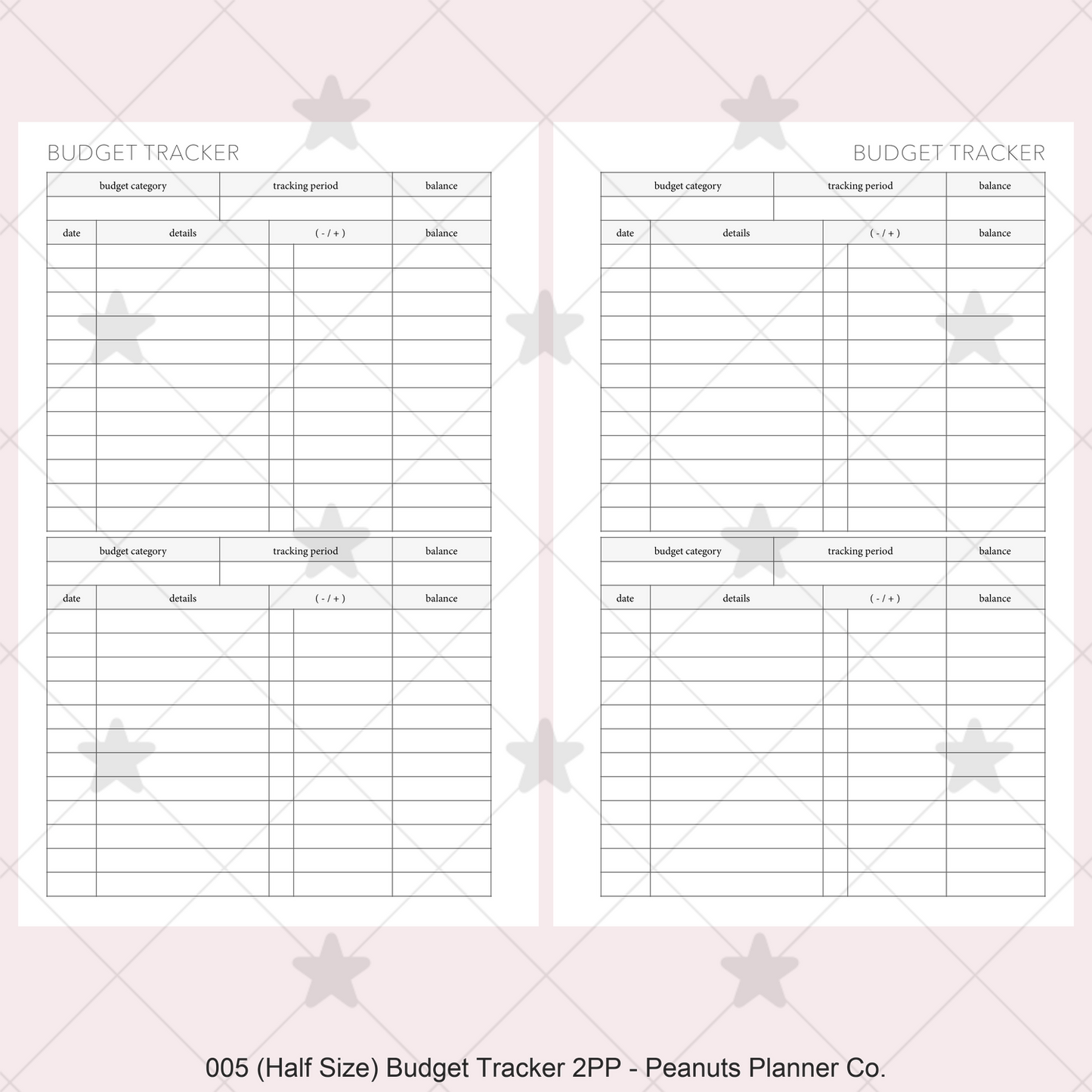 005: Budget Tracker 2PP