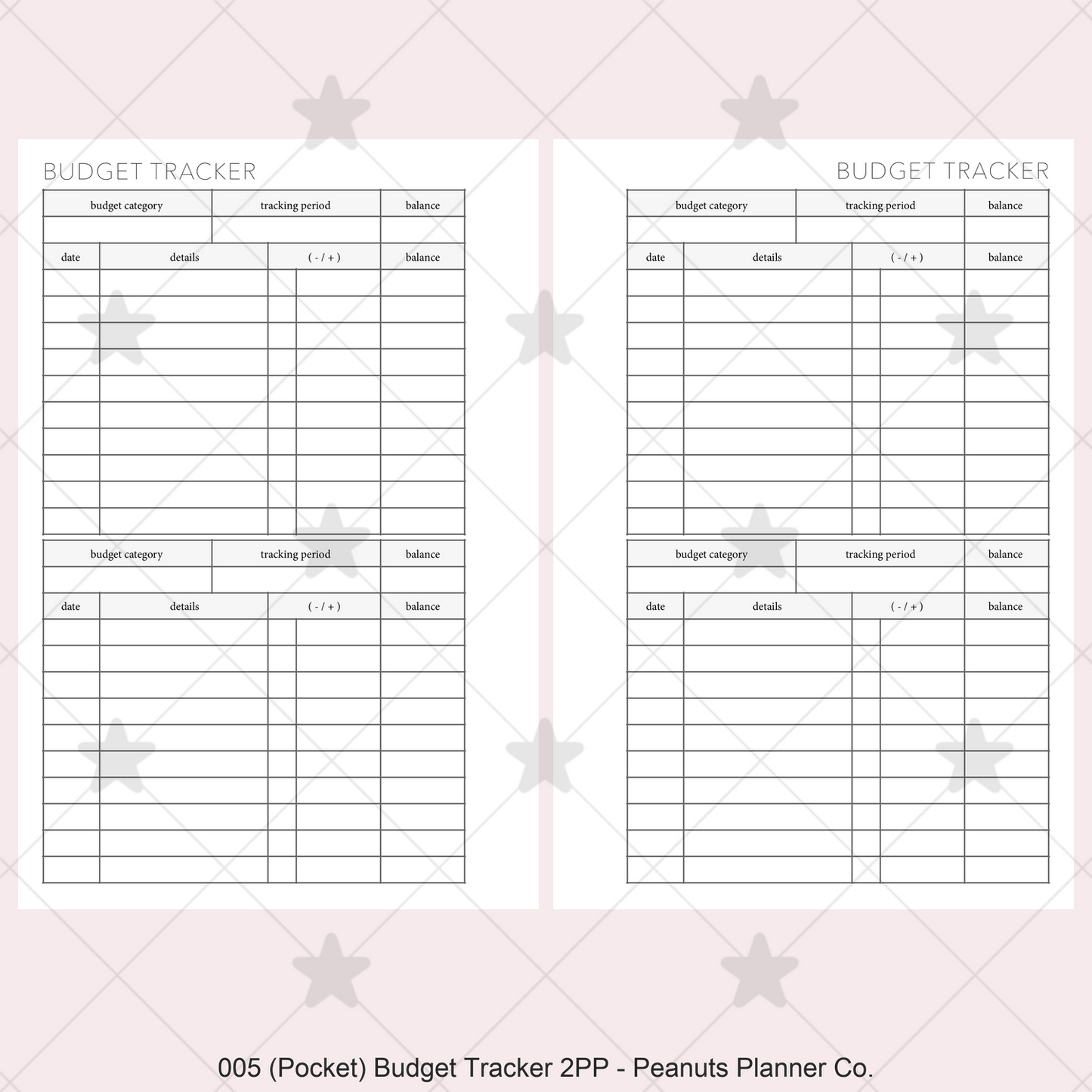 005: Budget Tracker 2PP