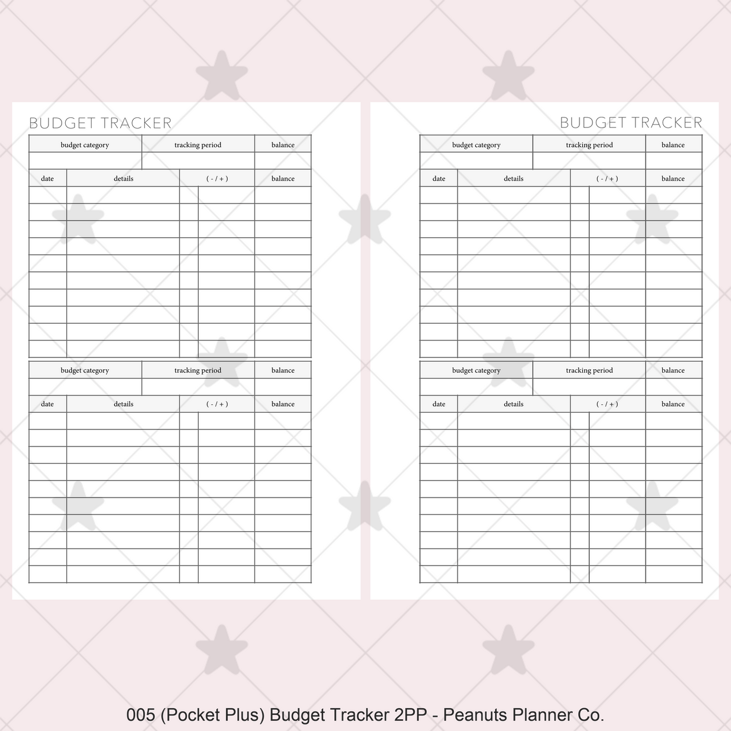 005: Budget Tracker 2PP