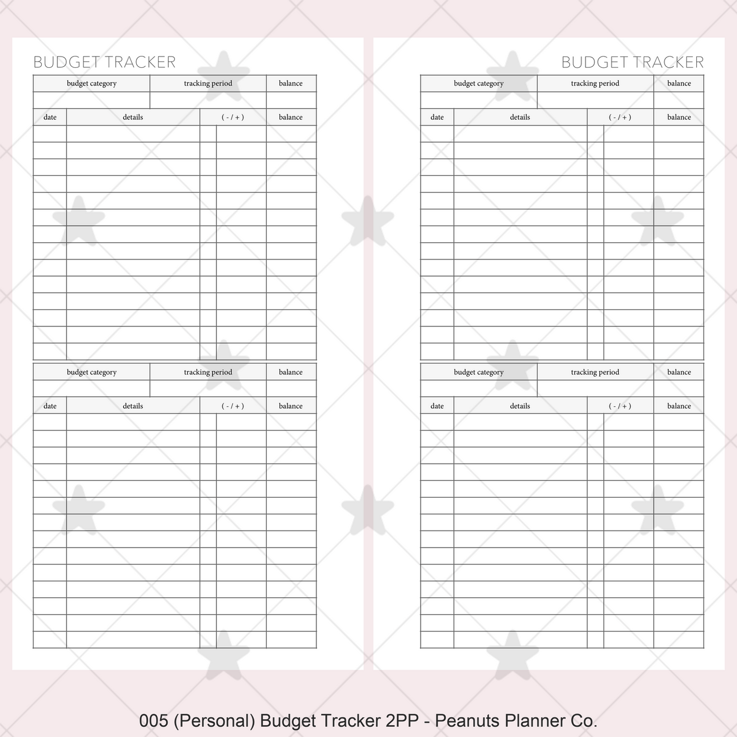 005: Budget Tracker 2PP