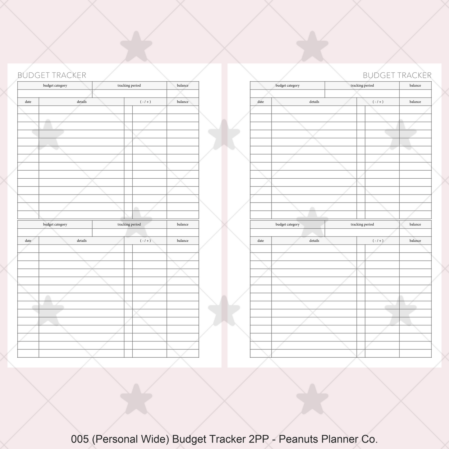 005: Budget Tracker 2PP