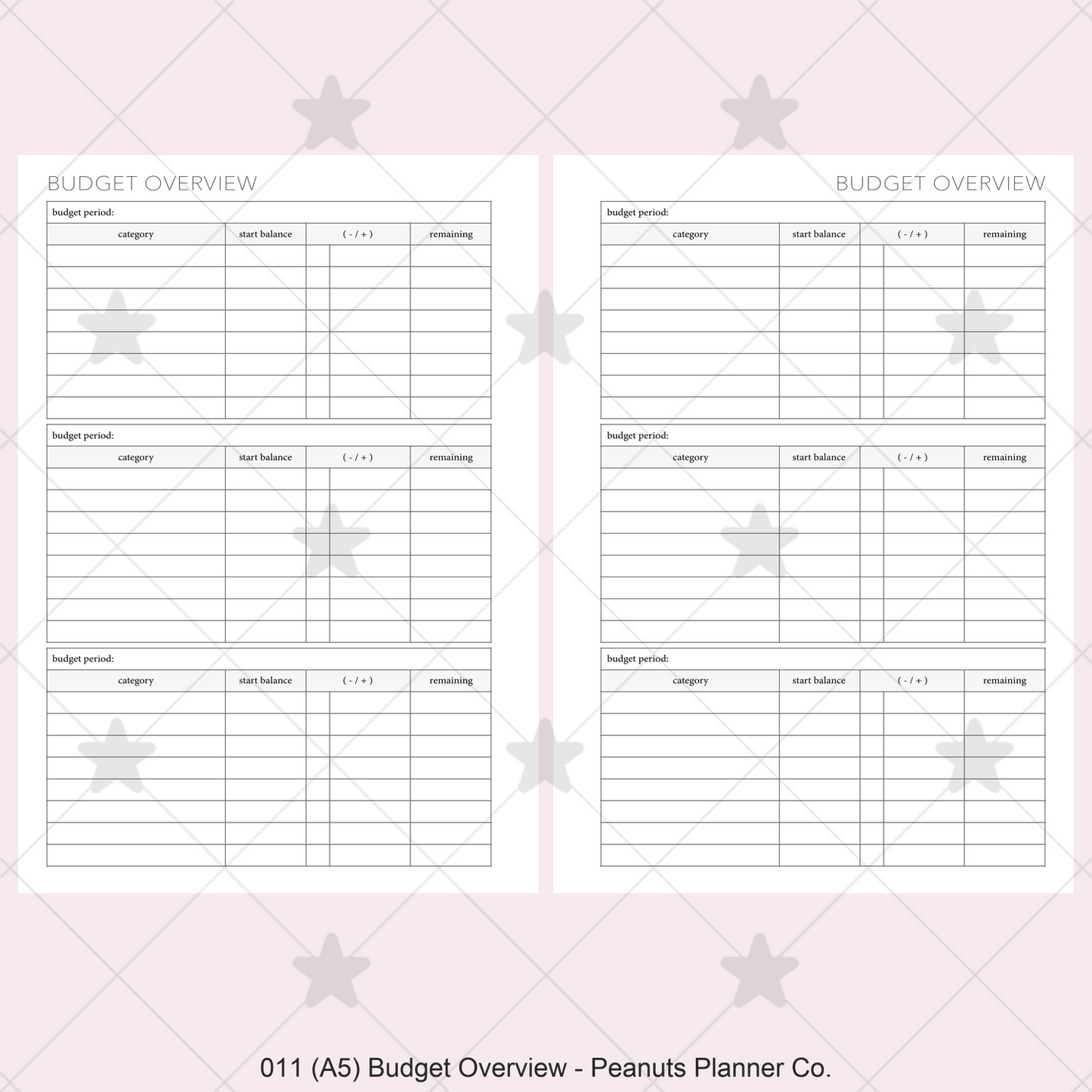 011: Budget Overview