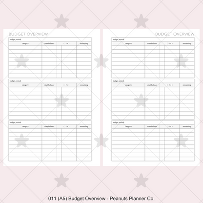 011: Budget Overview