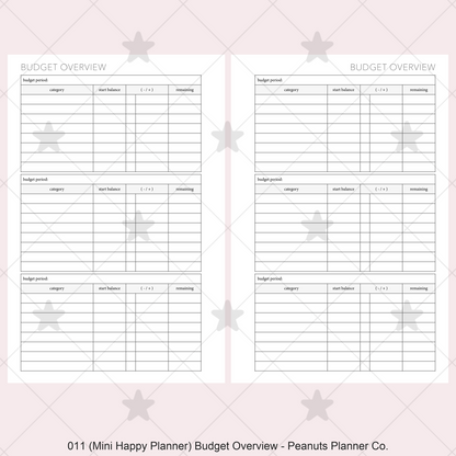 011: Budget Overview