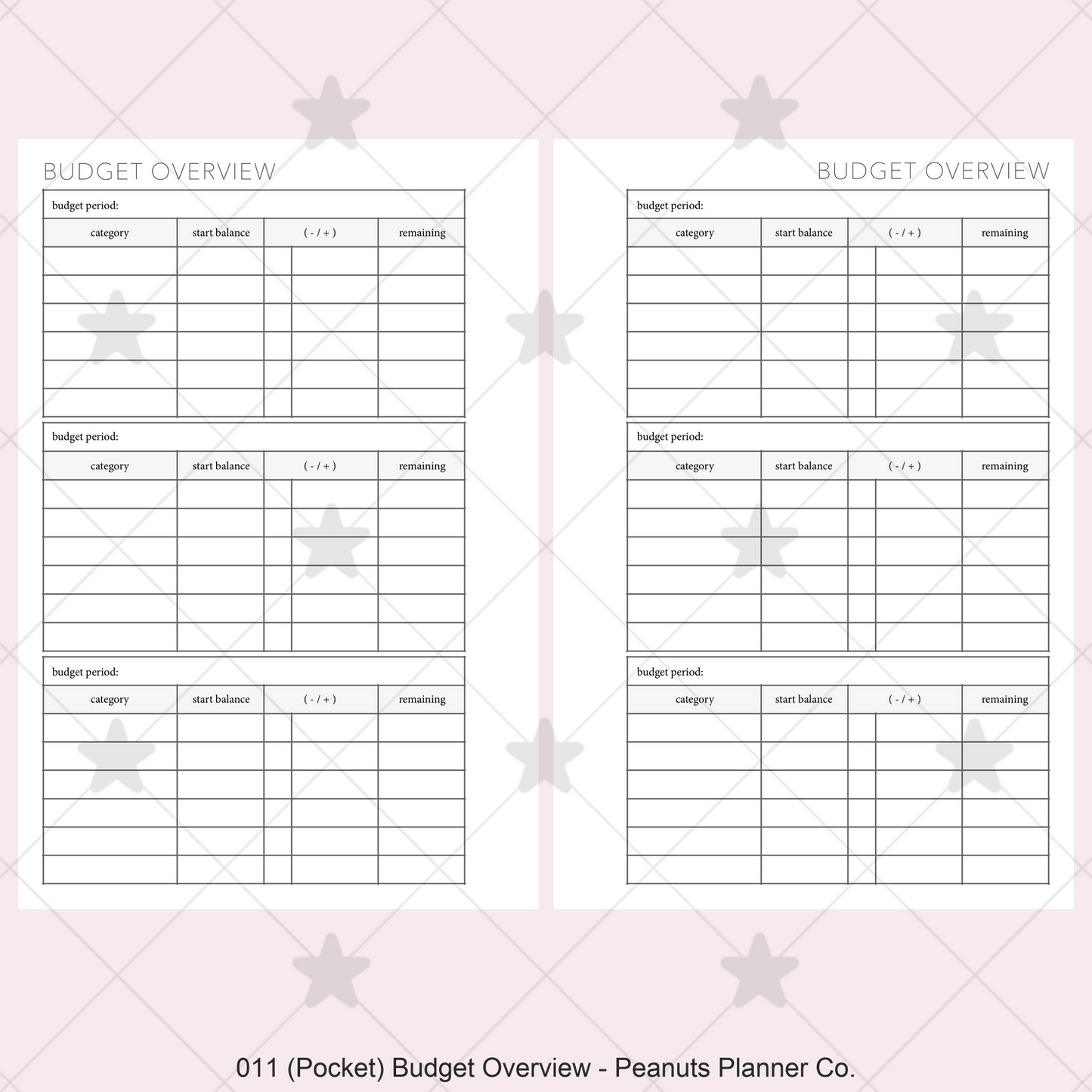 011: Budget Overview