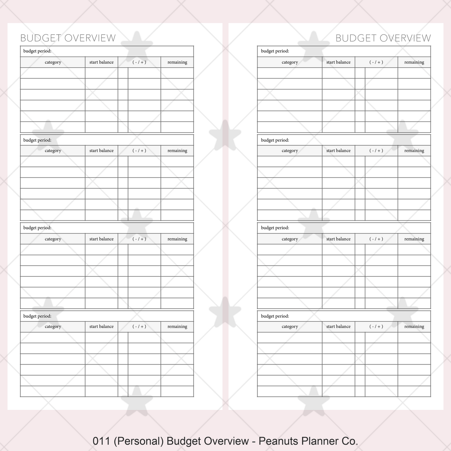 011: Budget Overview