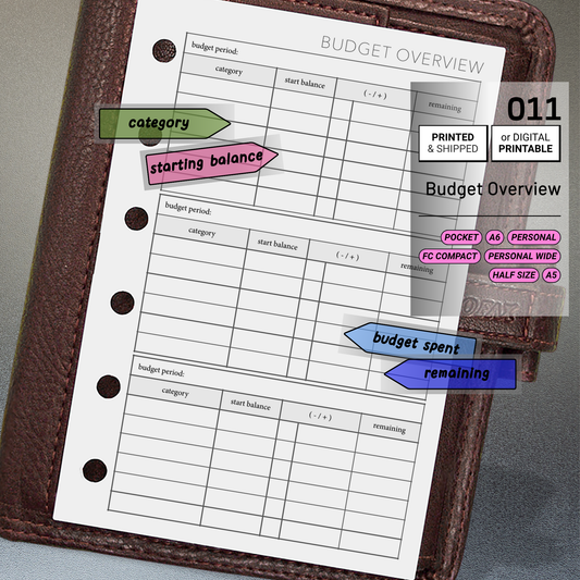 011: Budget Overview