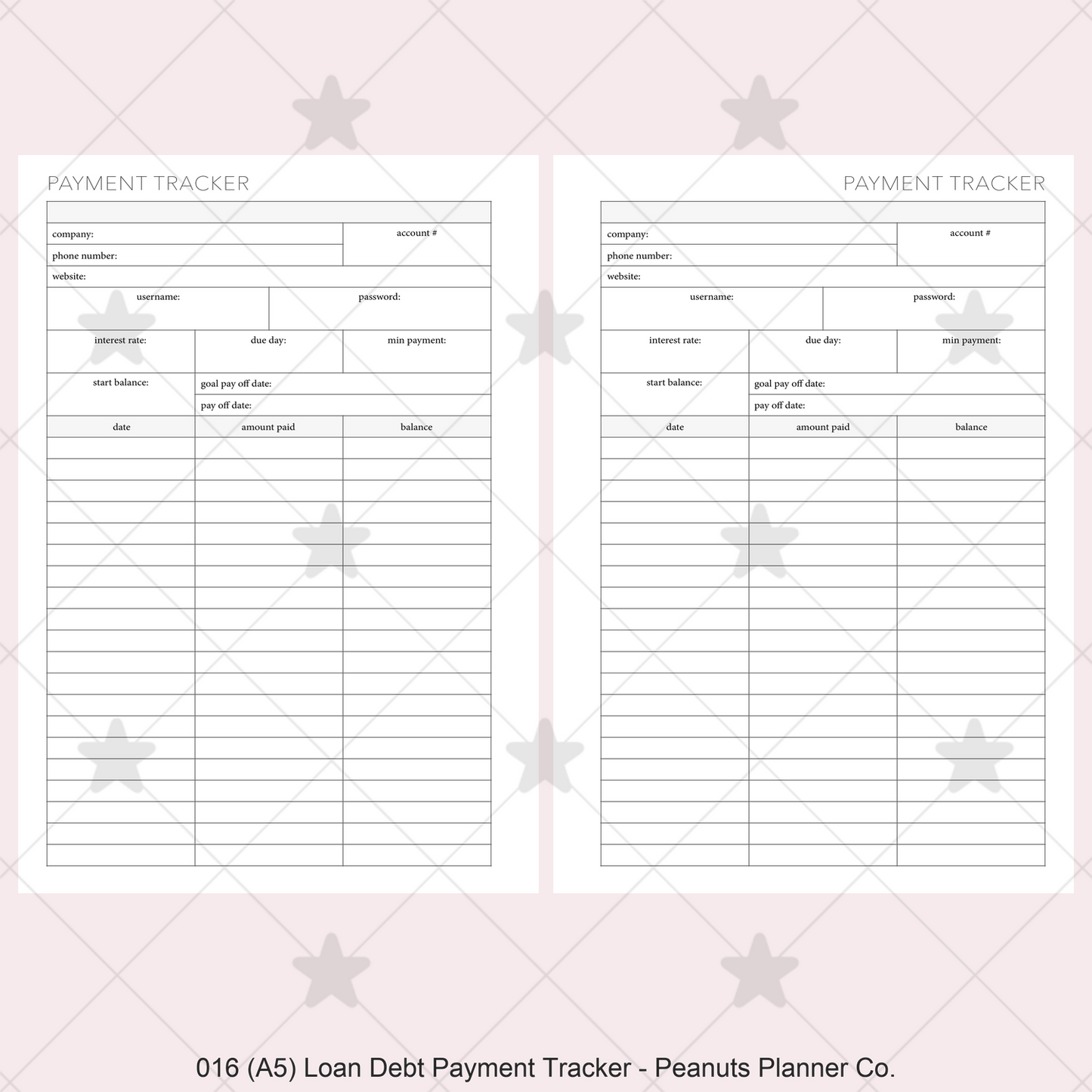 016: Loan / Debt Payment Tracker