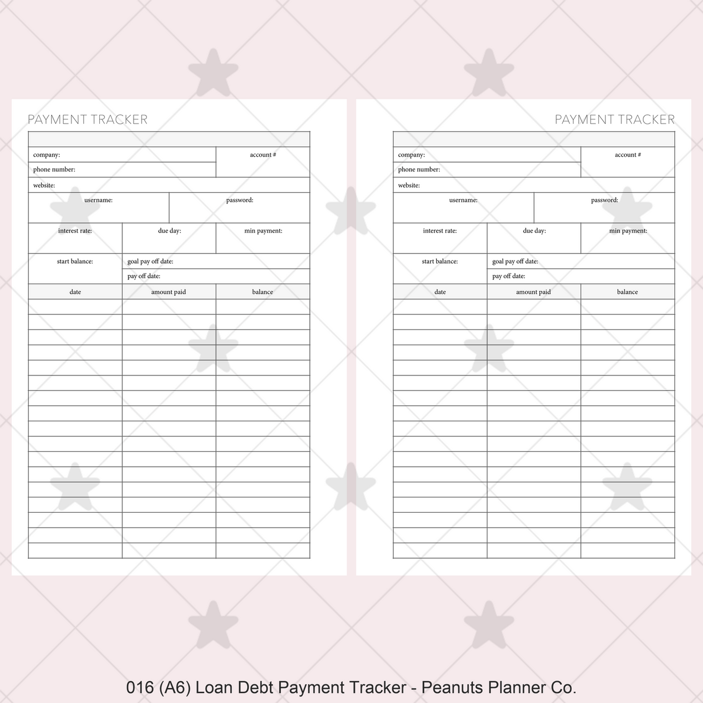 016: Loan / Debt Payment Tracker