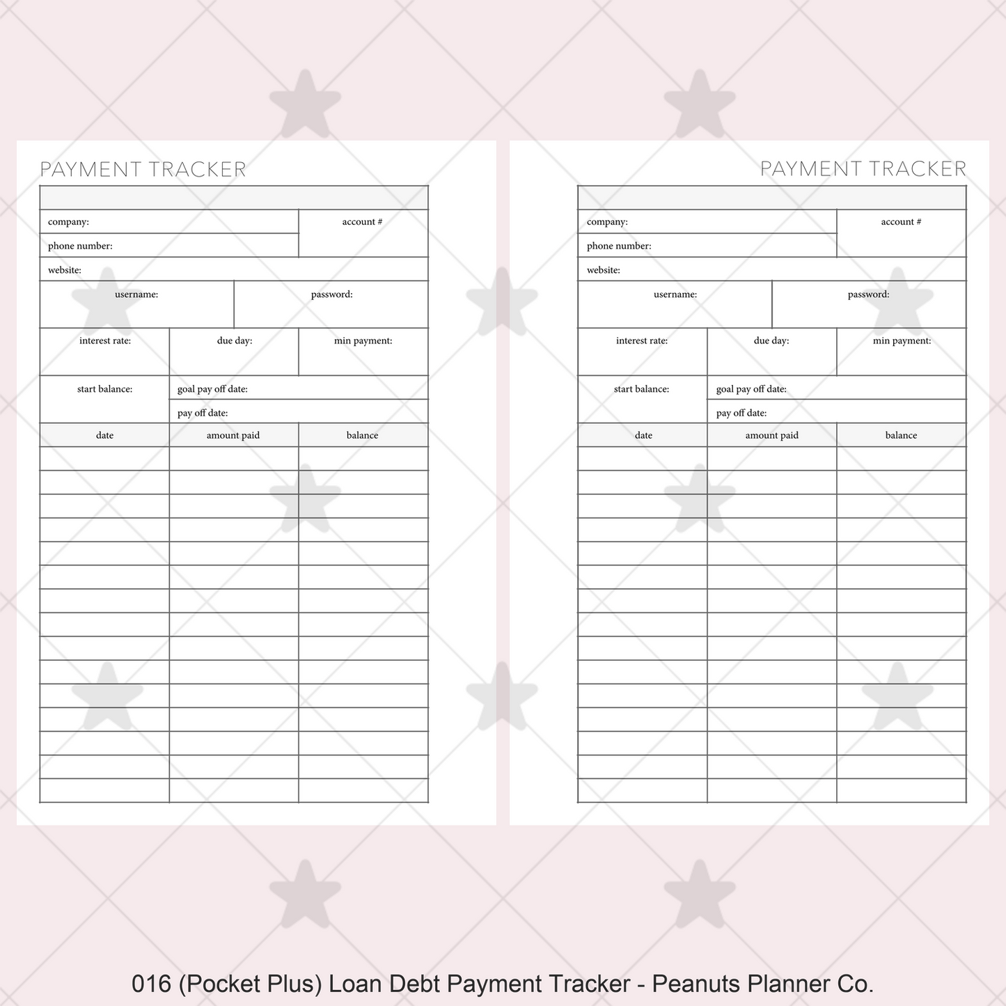 016: Loan / Debt Payment Tracker