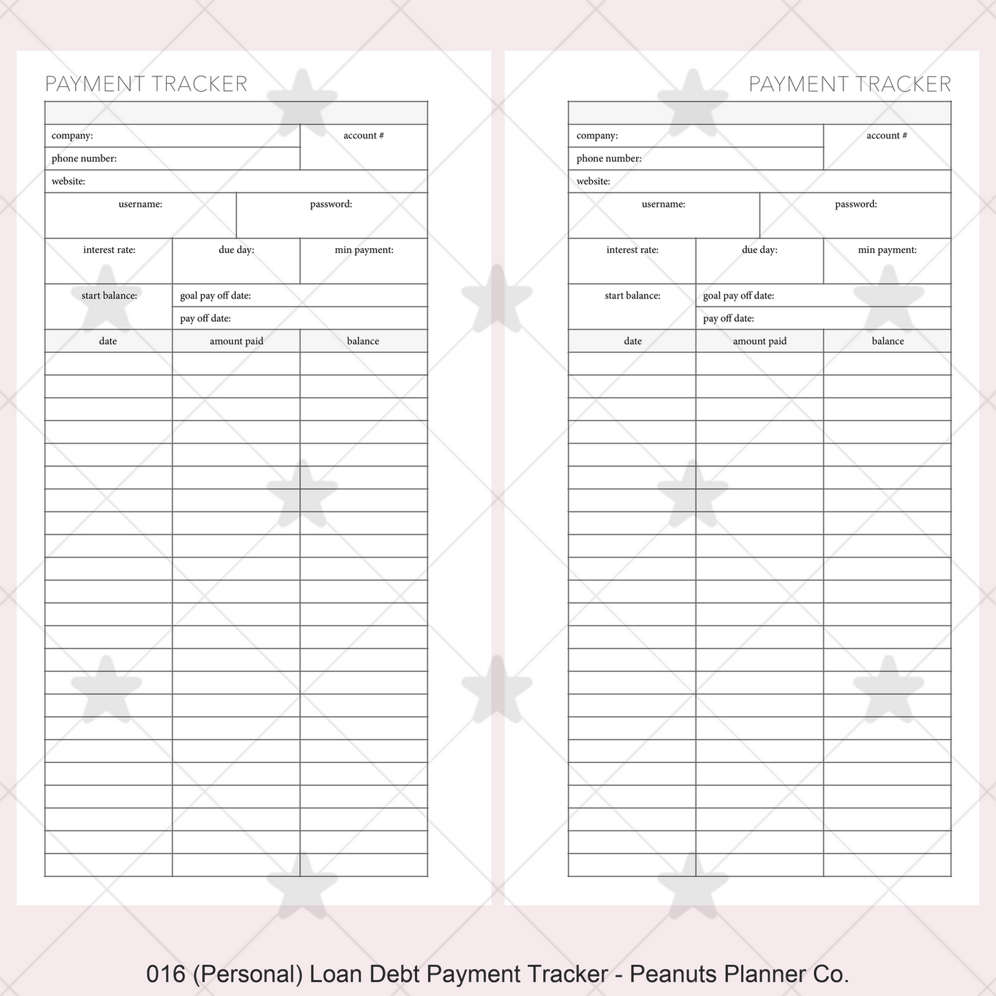 016: Loan / Debt Payment Tracker