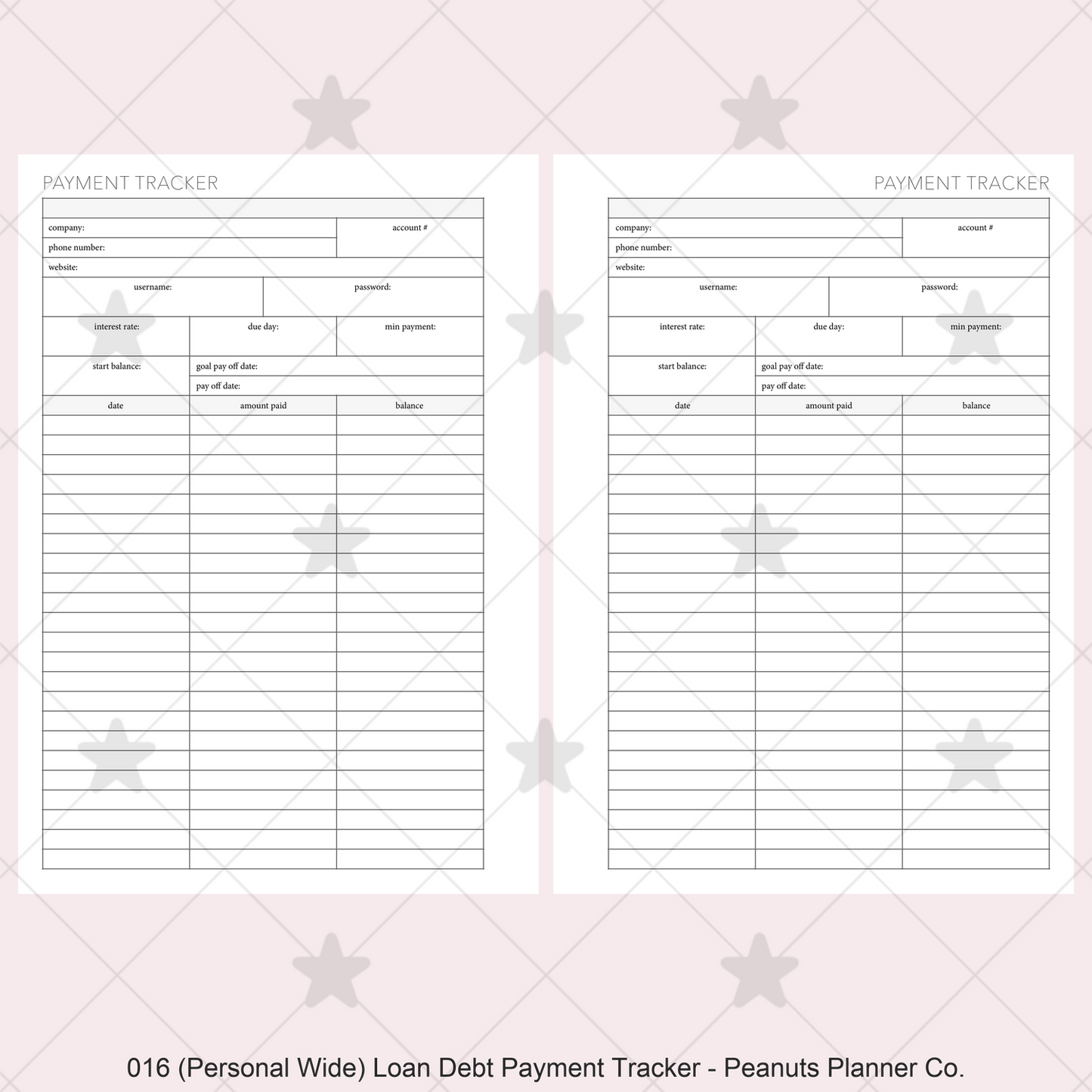 016: Loan / Debt Payment Tracker