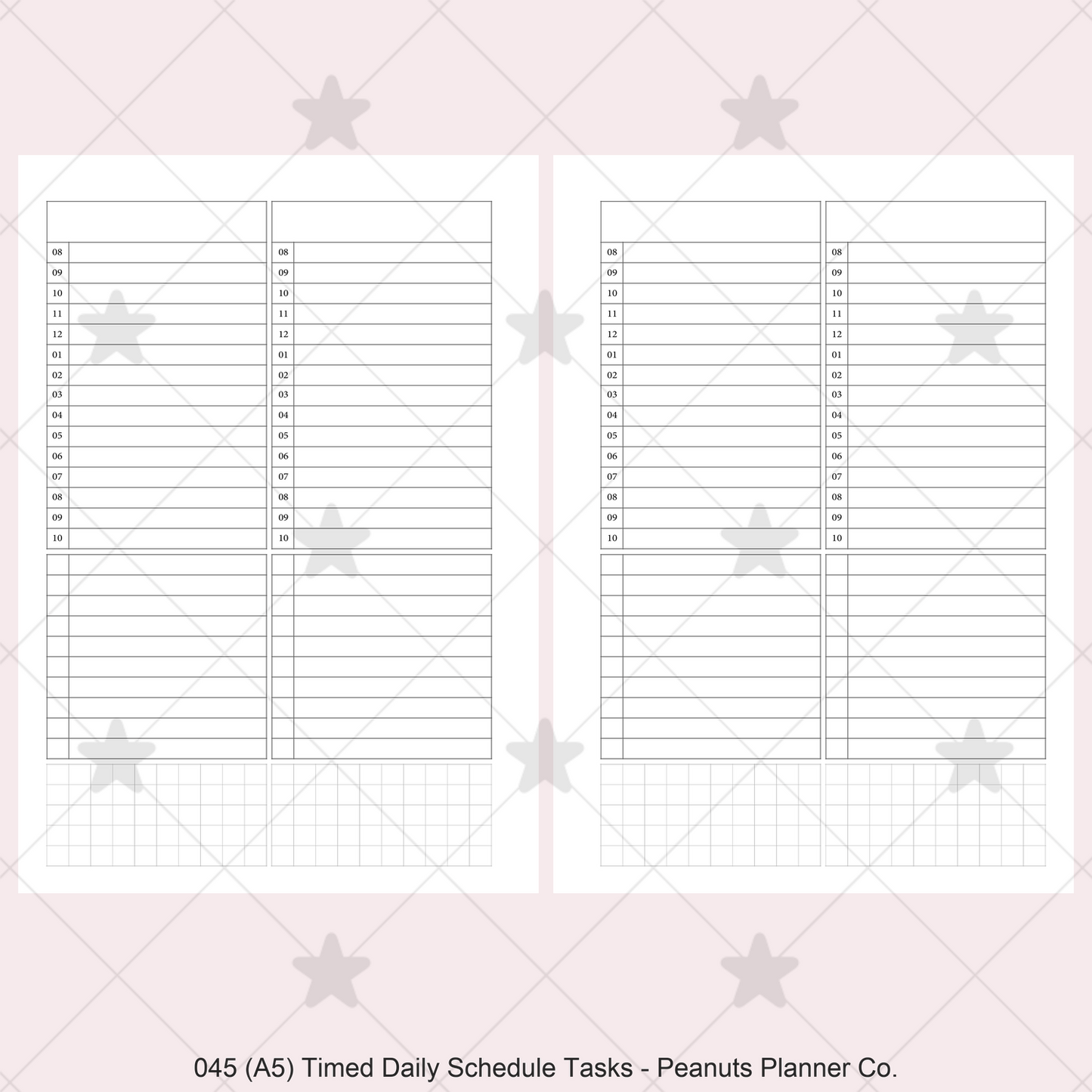 045: Timed Daily Schedule & Tasks 2Do1P