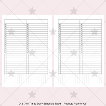 045: Timed Daily Schedule & Tasks 2Do1P