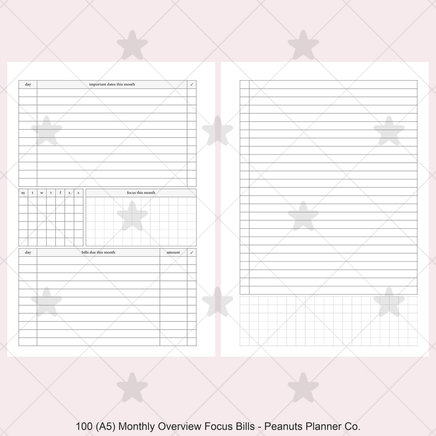 100: Monthly Overview w/ Focus & Bills Mo2P