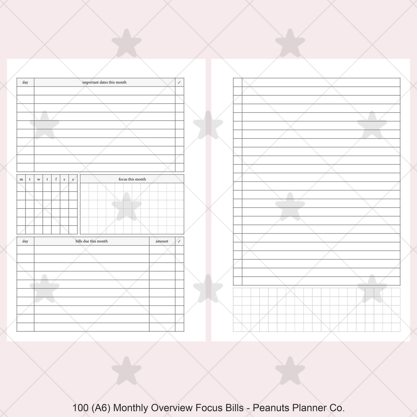 100: Monthly Overview w/ Focus & Bills Mo2P