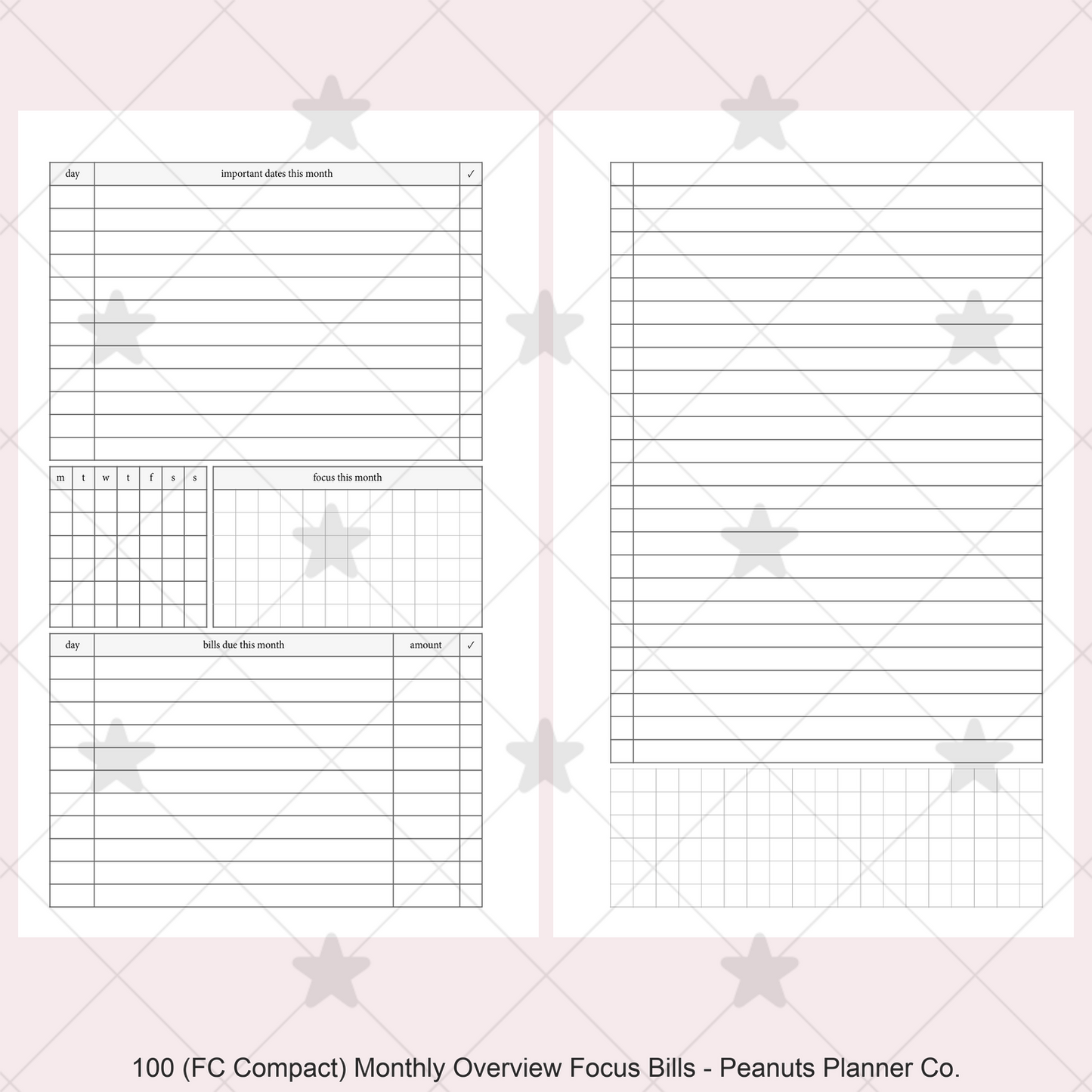 100: Monthly Overview w/ Focus & Bills Mo2P