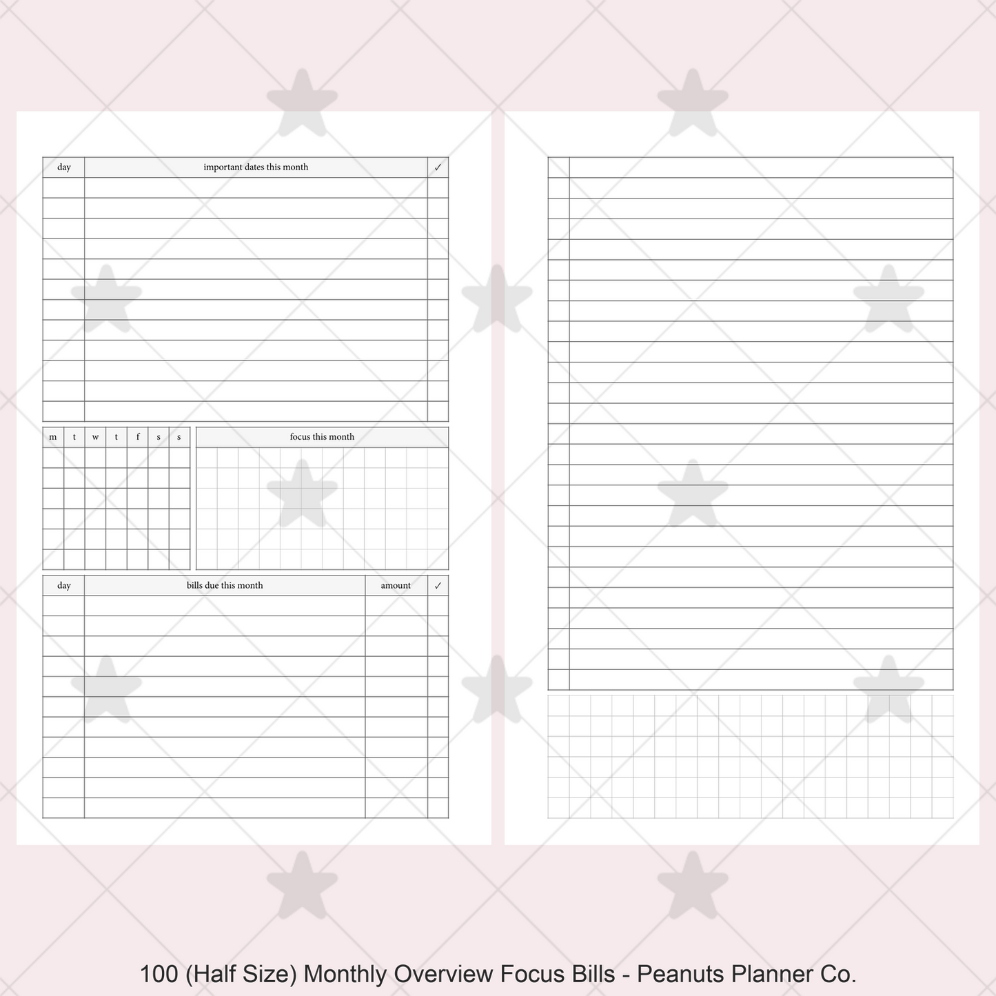 100: Monthly Overview w/ Focus & Bills Mo2P