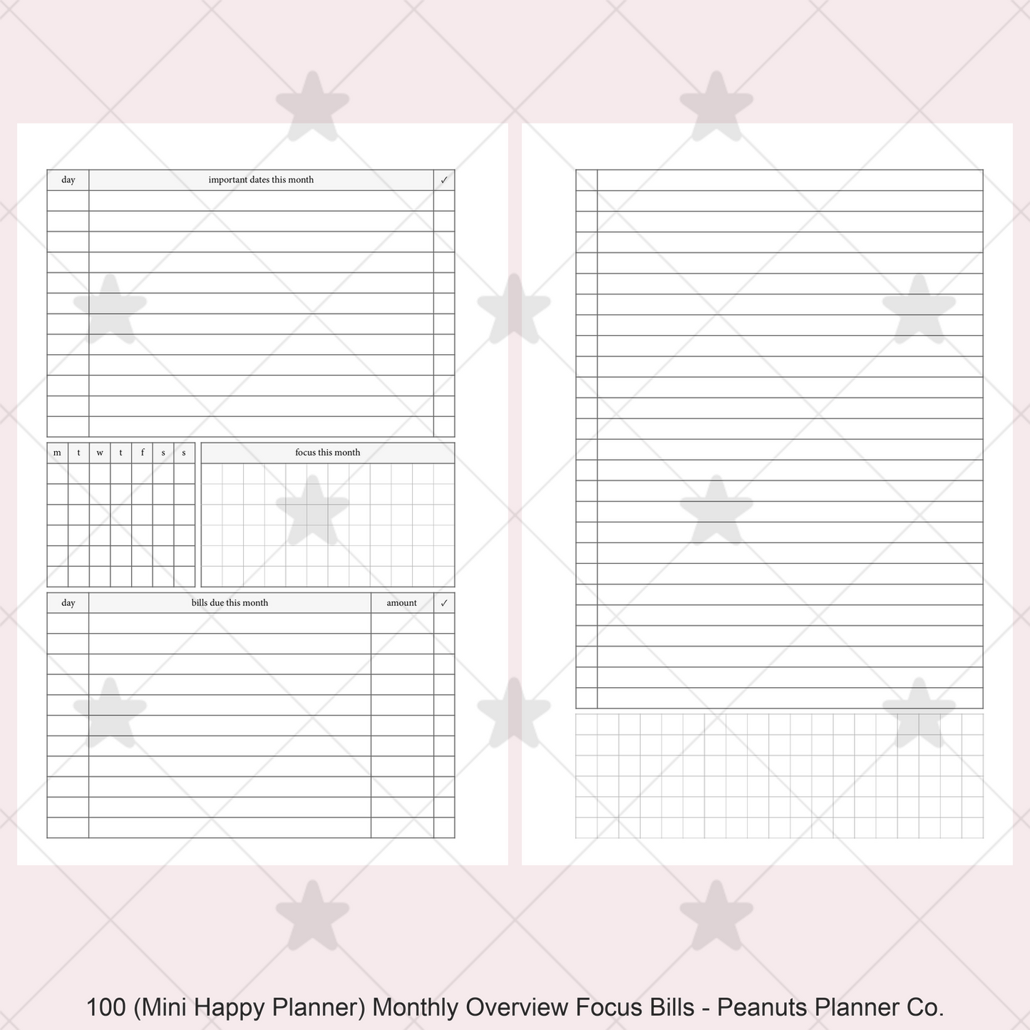 100: Monthly Overview w/ Focus & Bills Mo2P