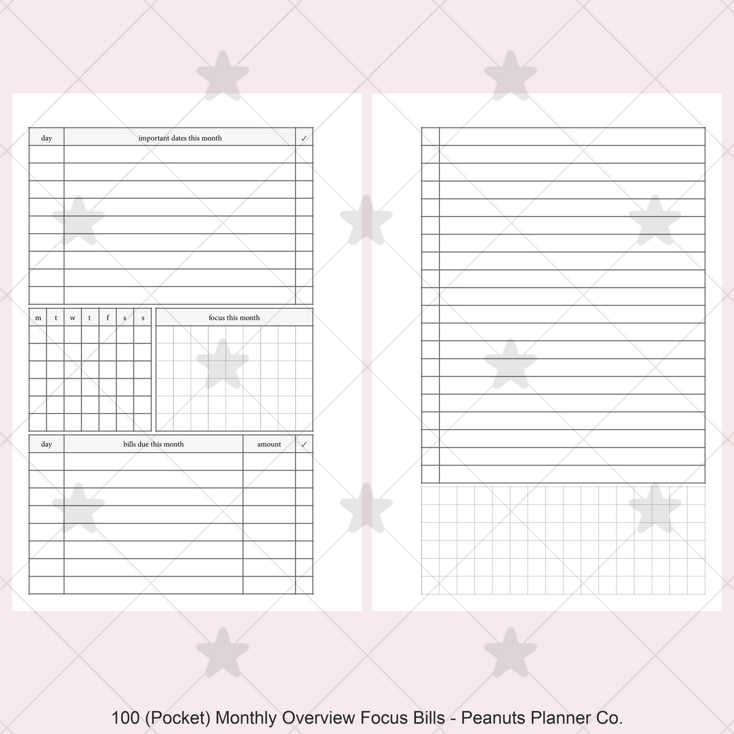 100: Monthly Overview w/ Focus & Bills Mo2P