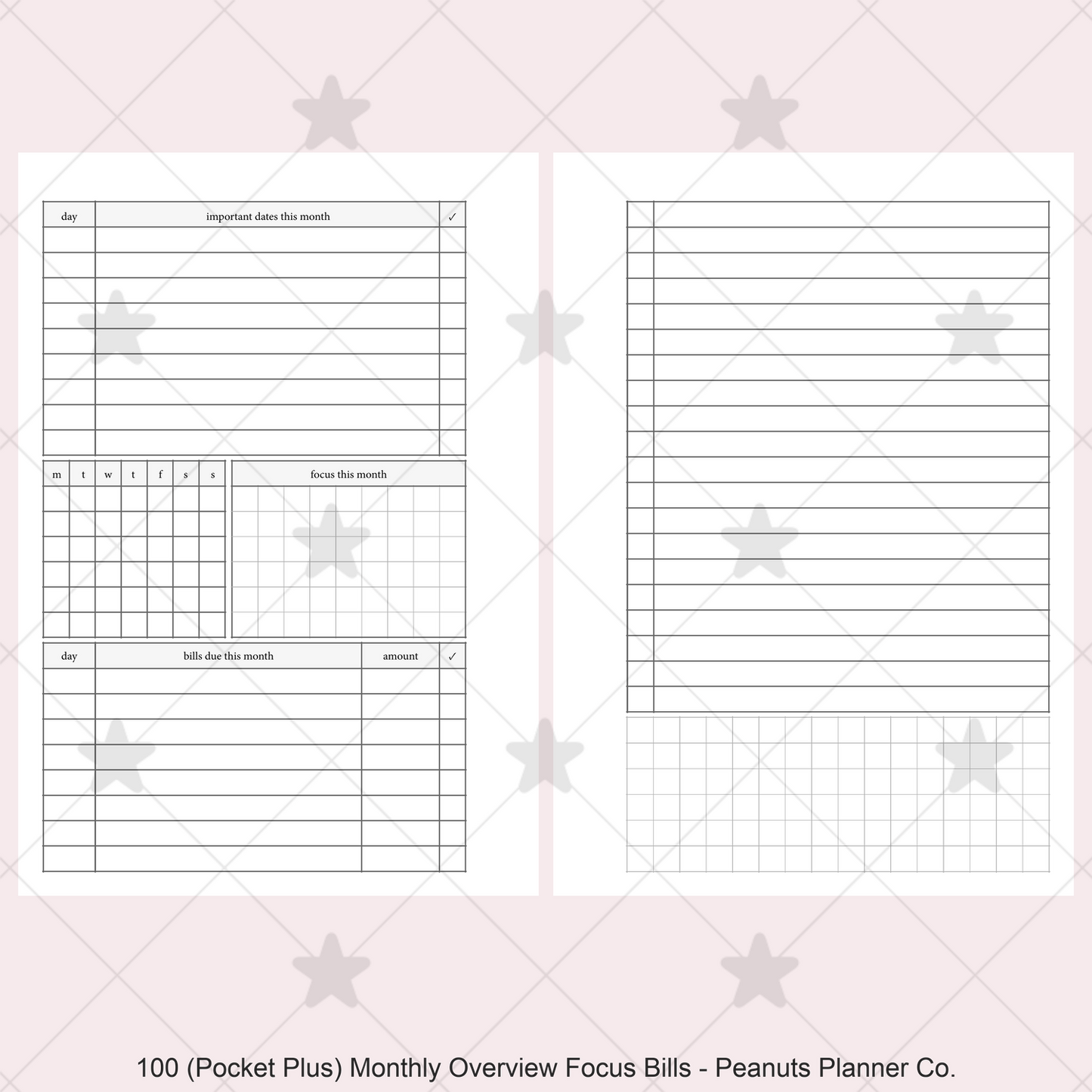 100: Monthly Overview w/ Focus & Bills Mo2P