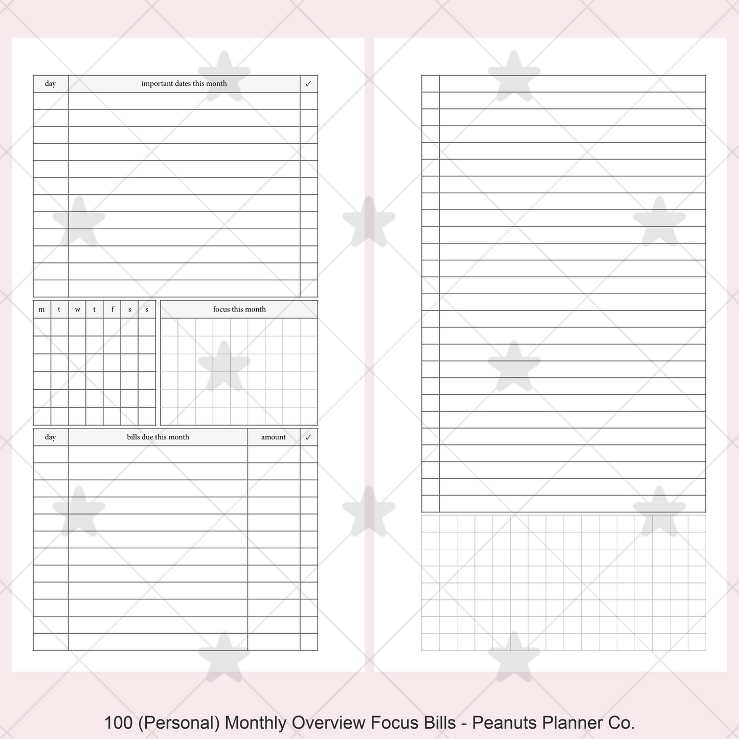 100: Monthly Overview w/ Focus & Bills Mo2P