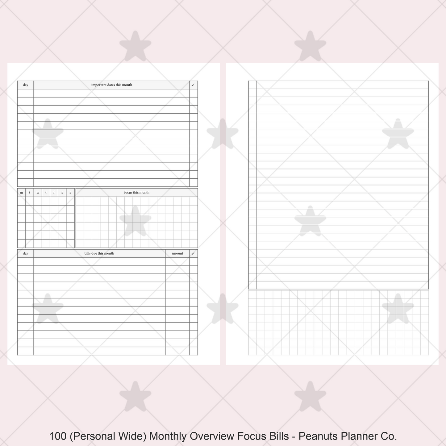 100: Monthly Overview w/ Focus & Bills Mo2P