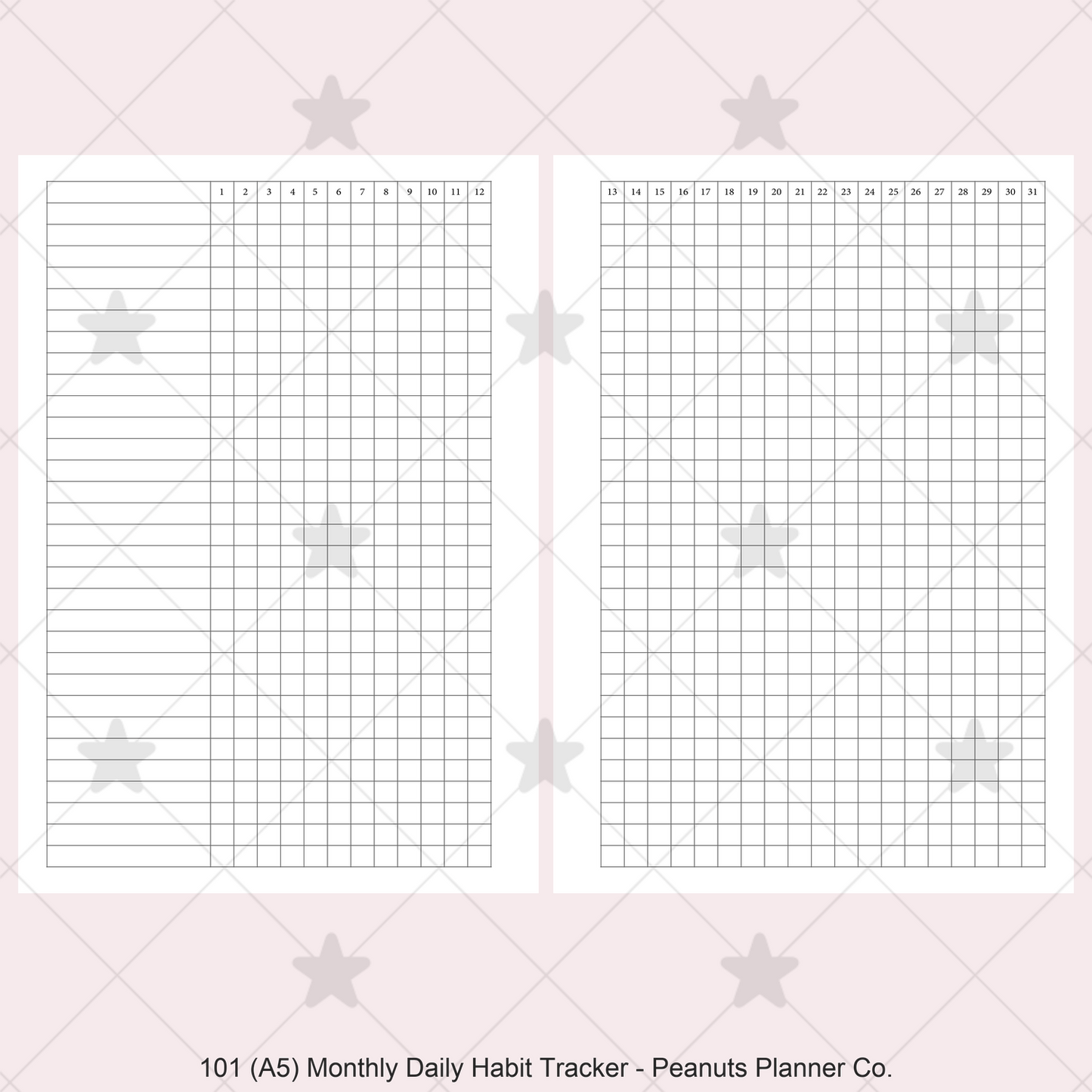 101: Monthly Daily Habit Tracker Mo2P