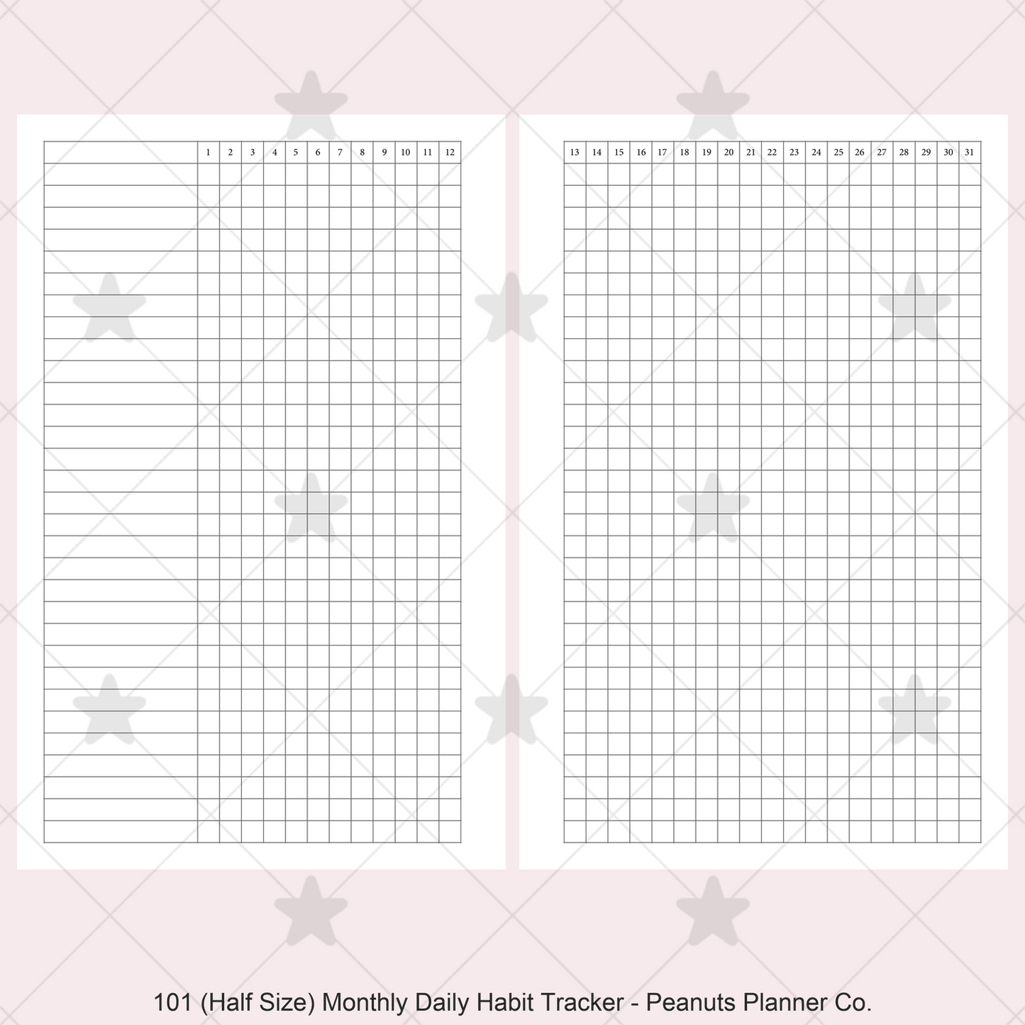 101: Monthly Daily Habit Tracker Mo2P