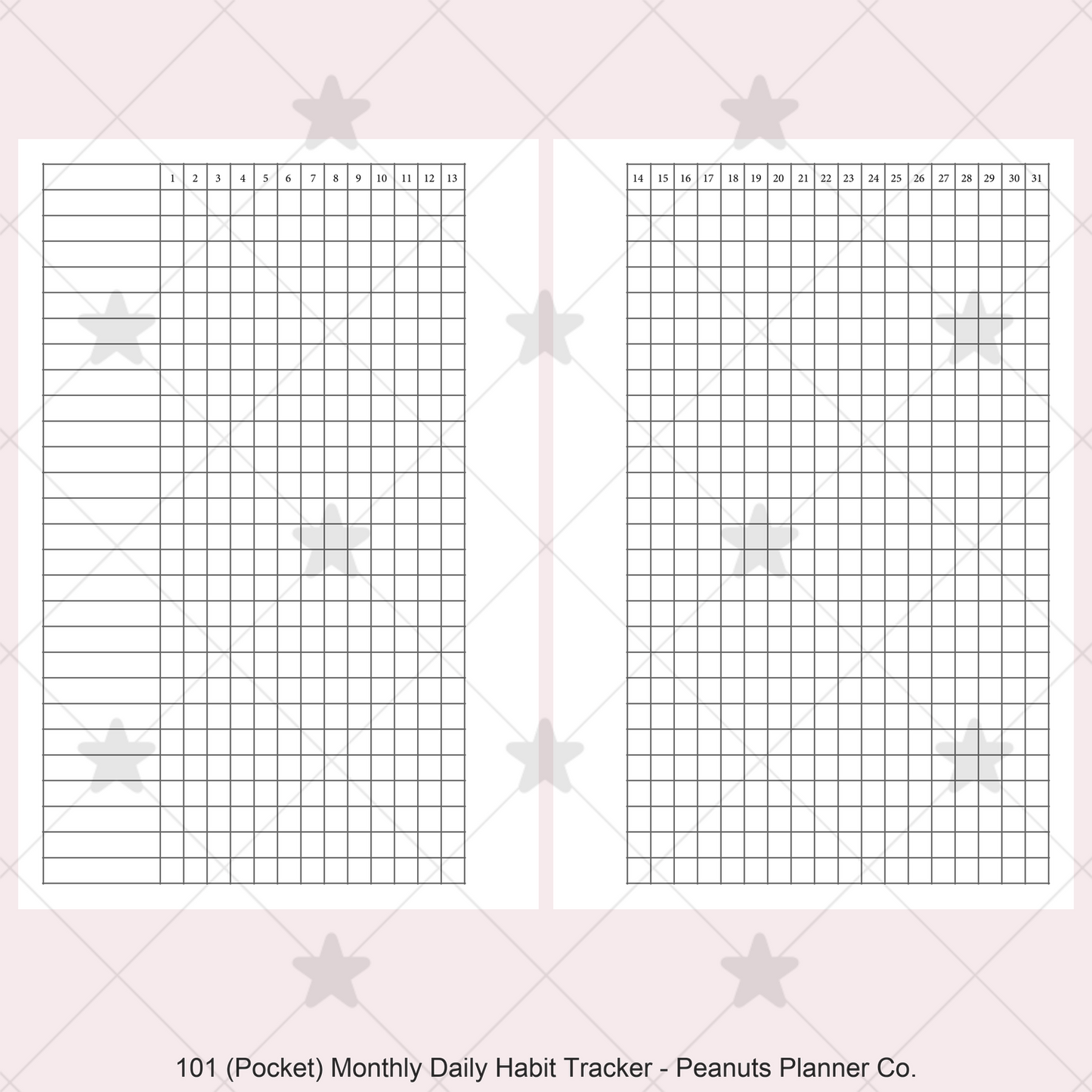 101: Monthly Daily Habit Tracker Mo2P