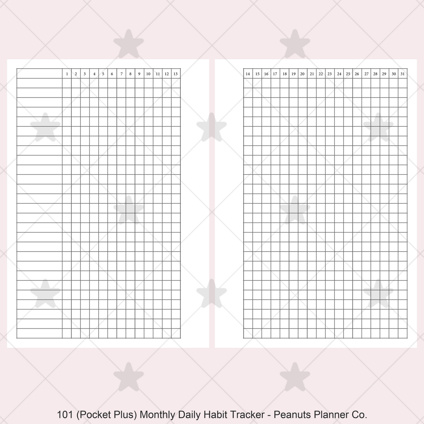101: Monthly Daily Habit Tracker Mo2P